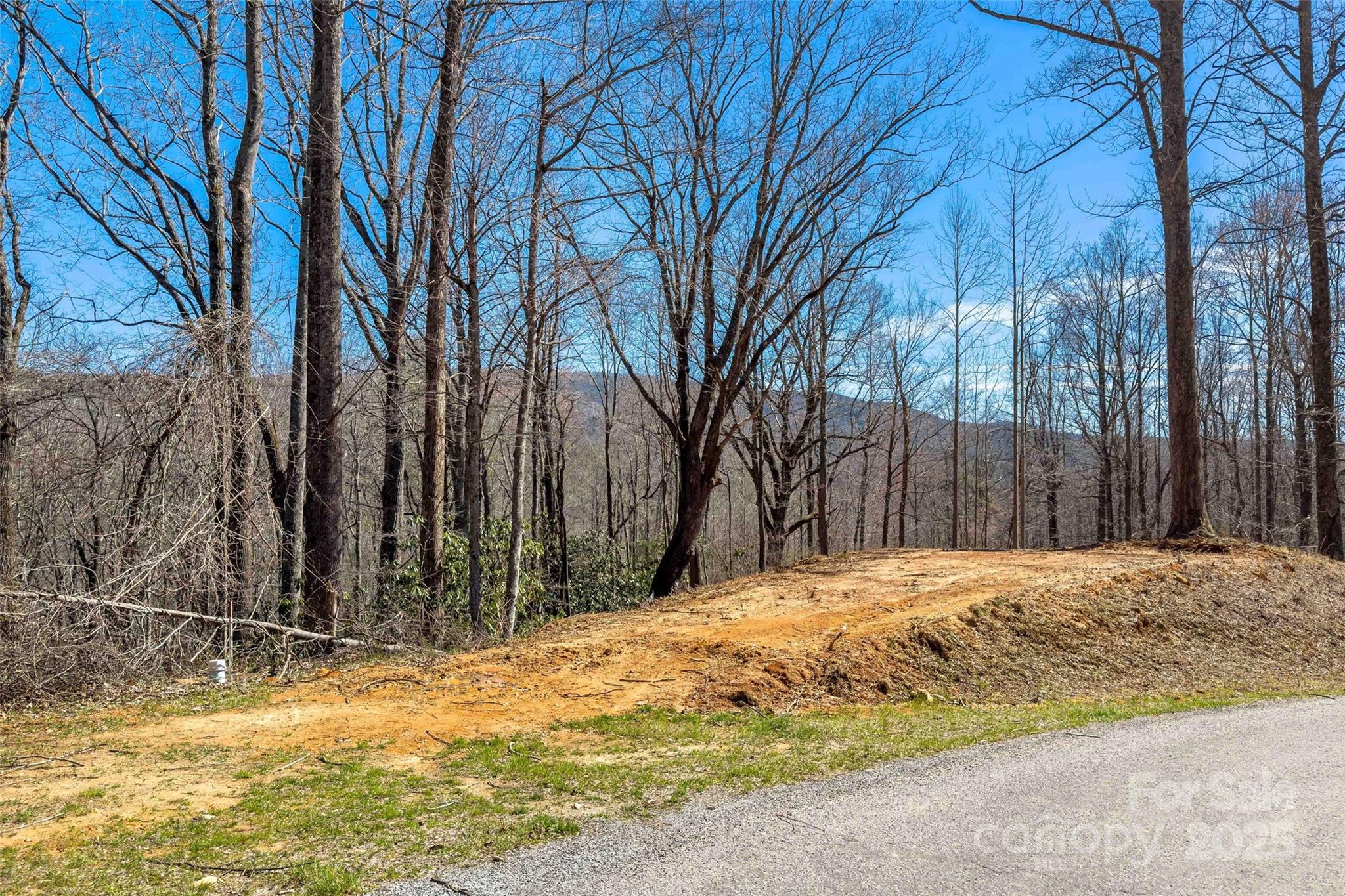 Linville Falls Mountain Club and Preserve - Land