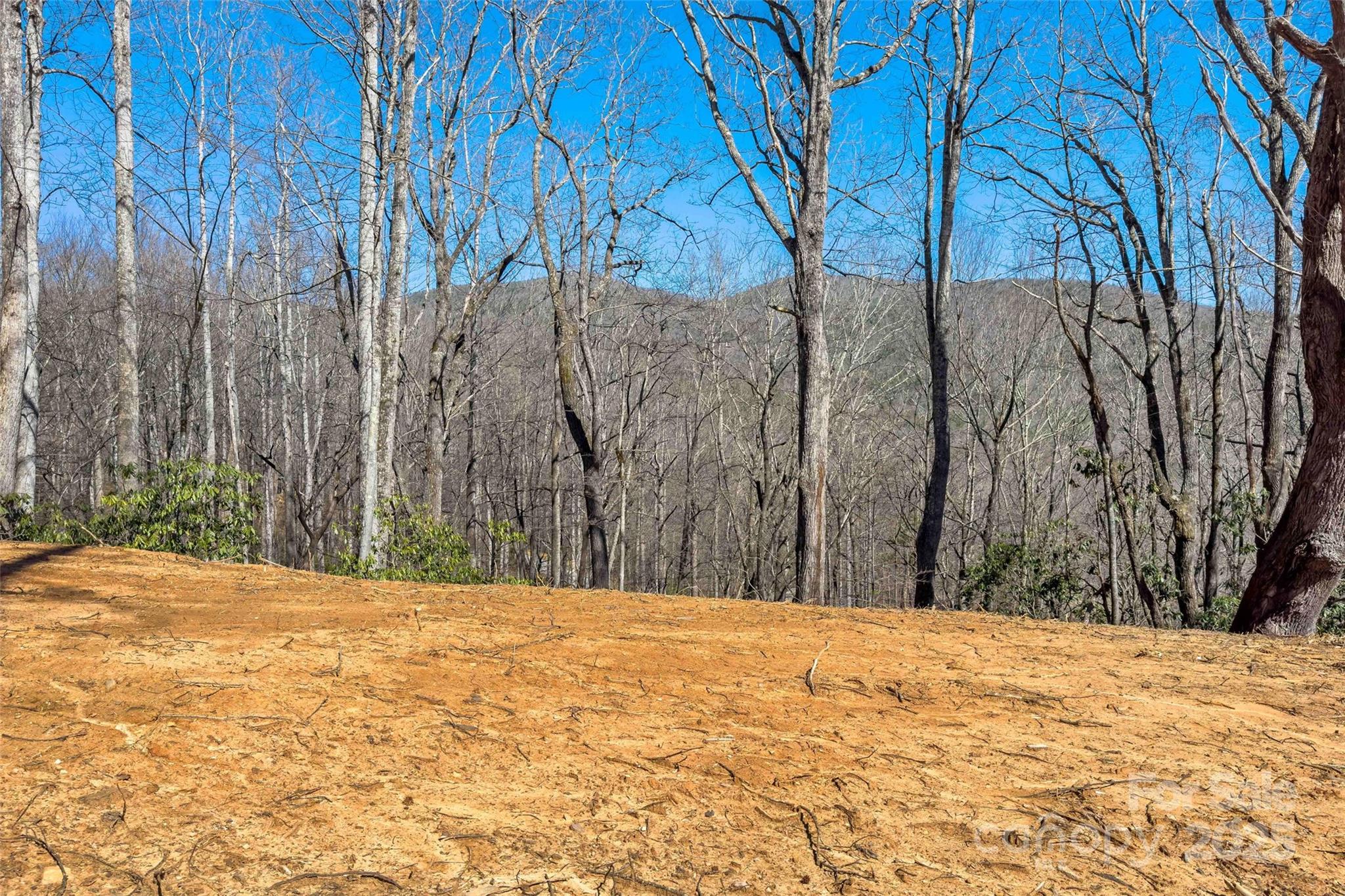 Linville Falls Mountain Club and Preserve - Land