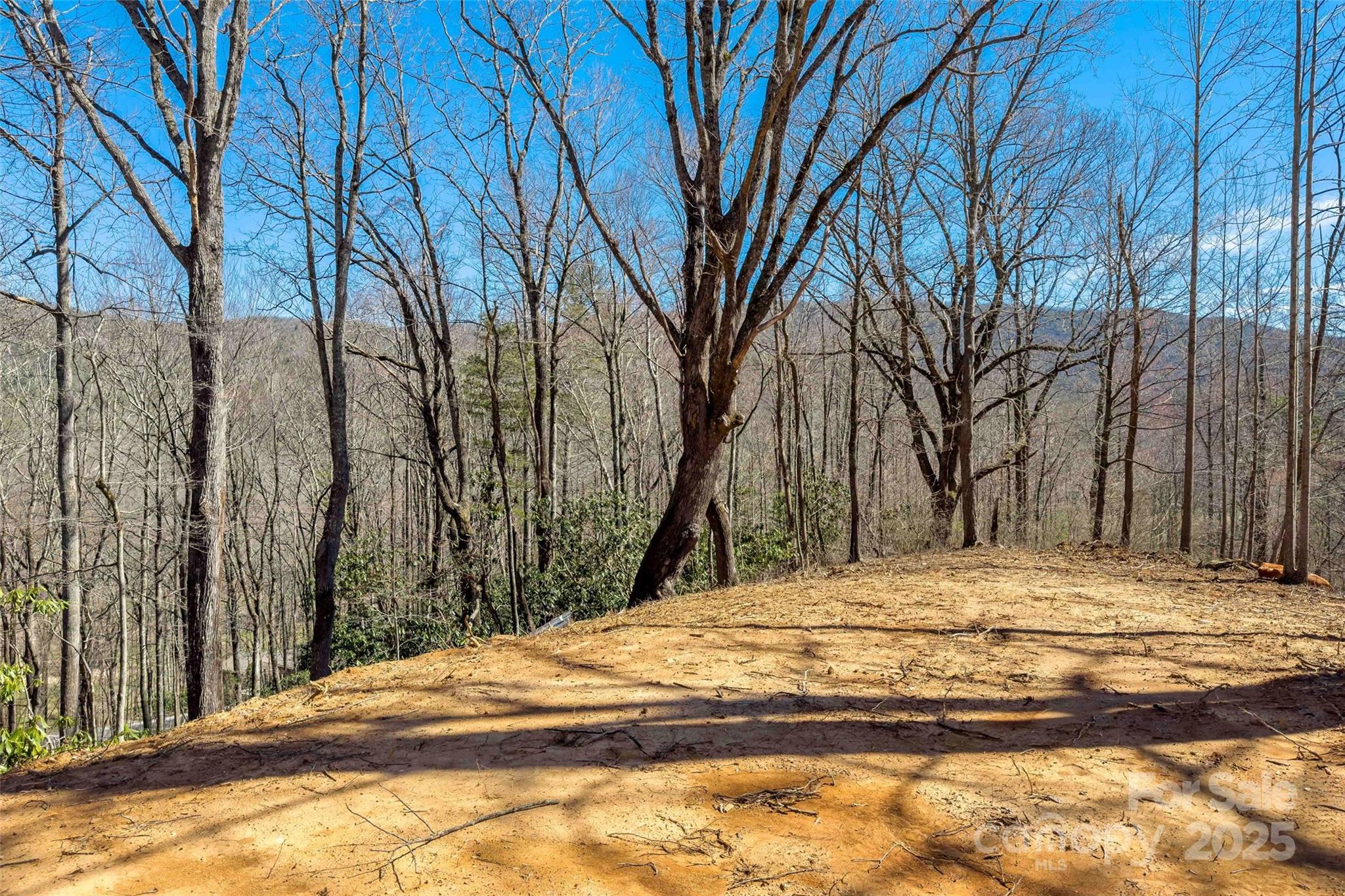 Linville Falls Mountain Club and Preserve - Land