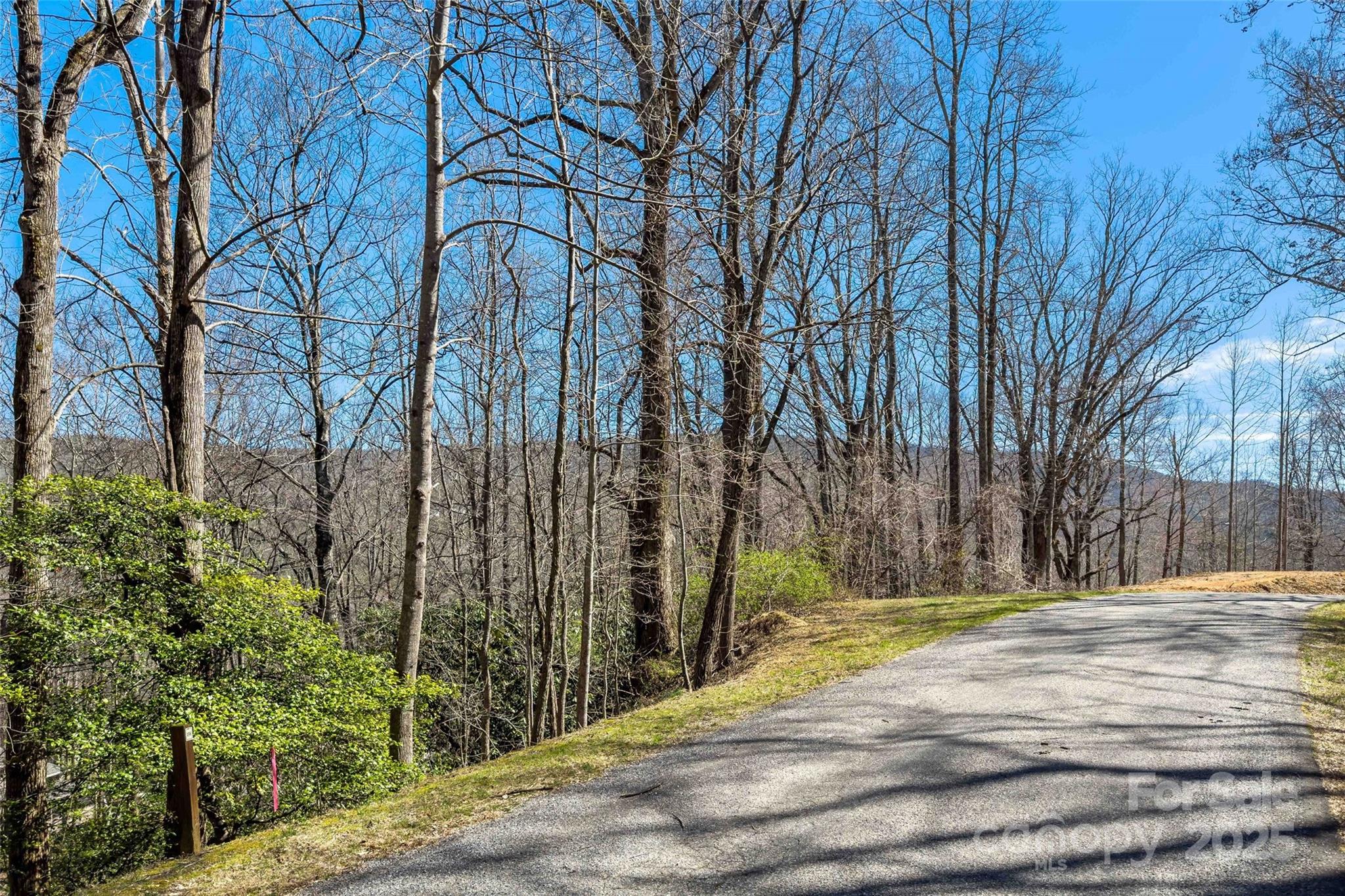 Linville Falls Mountain Club and Preserve - Land