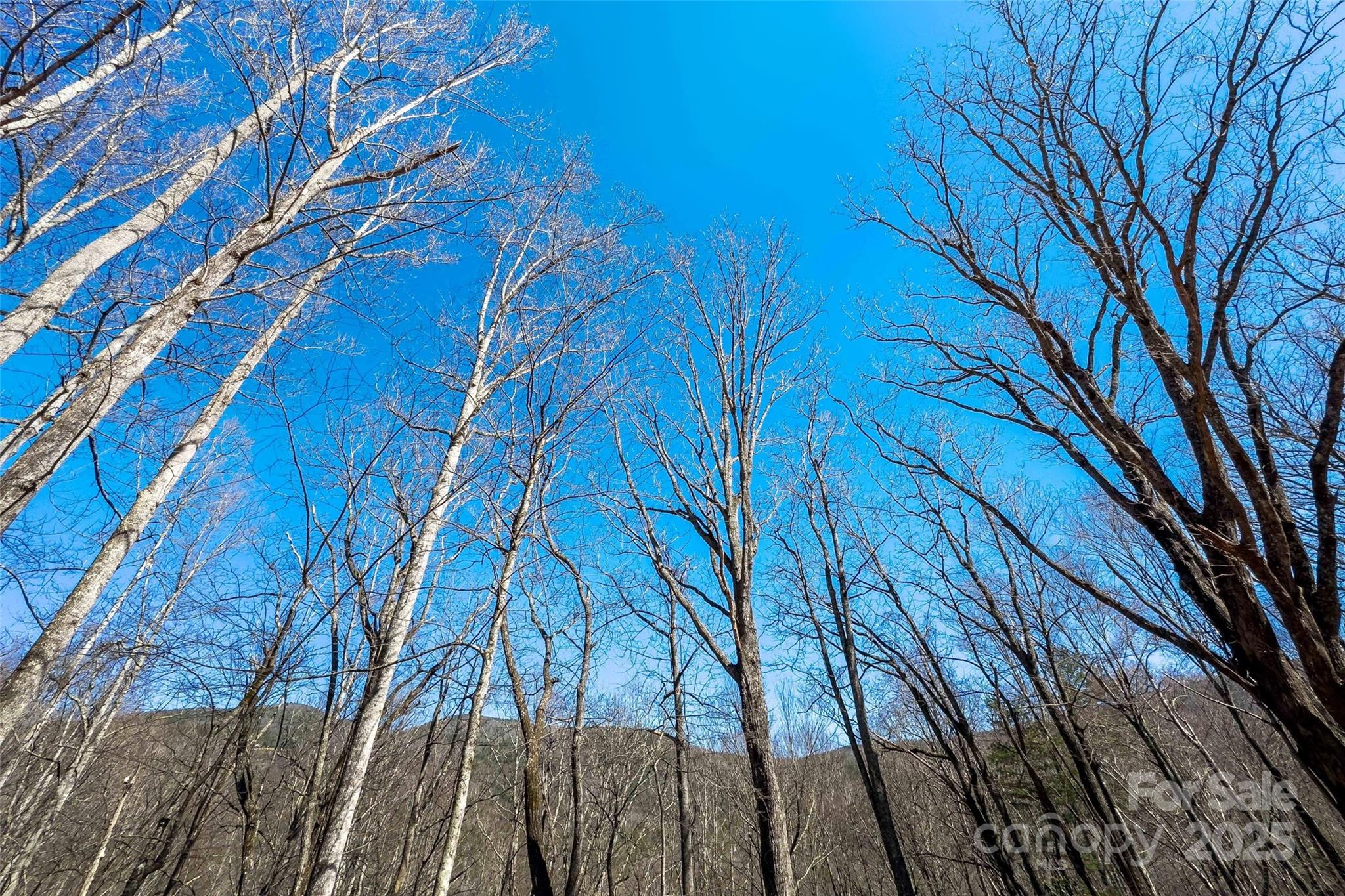 Linville Falls Mountain Club and Preserve - Land