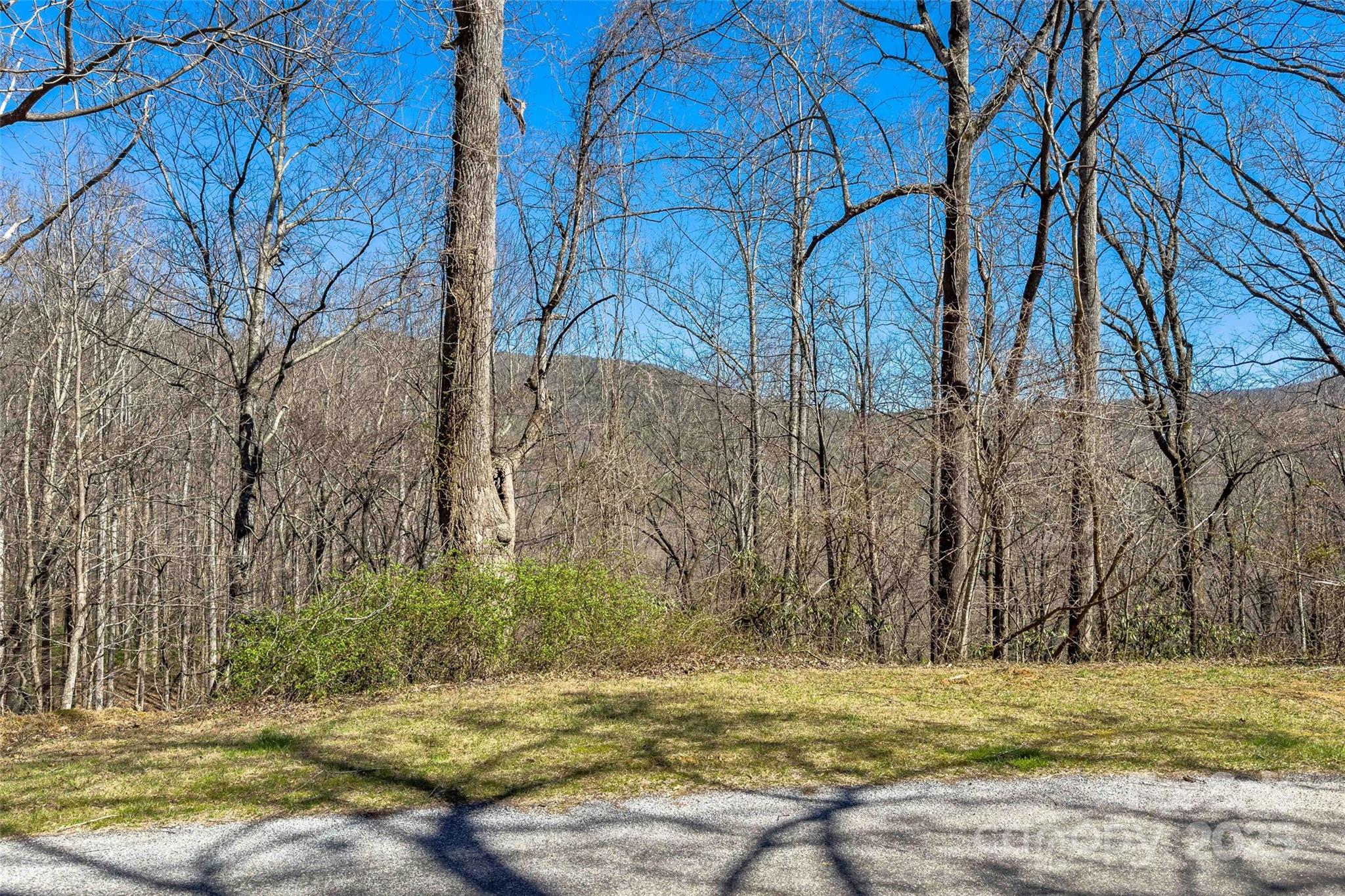 Linville Falls Mountain Club and Preserve - Land