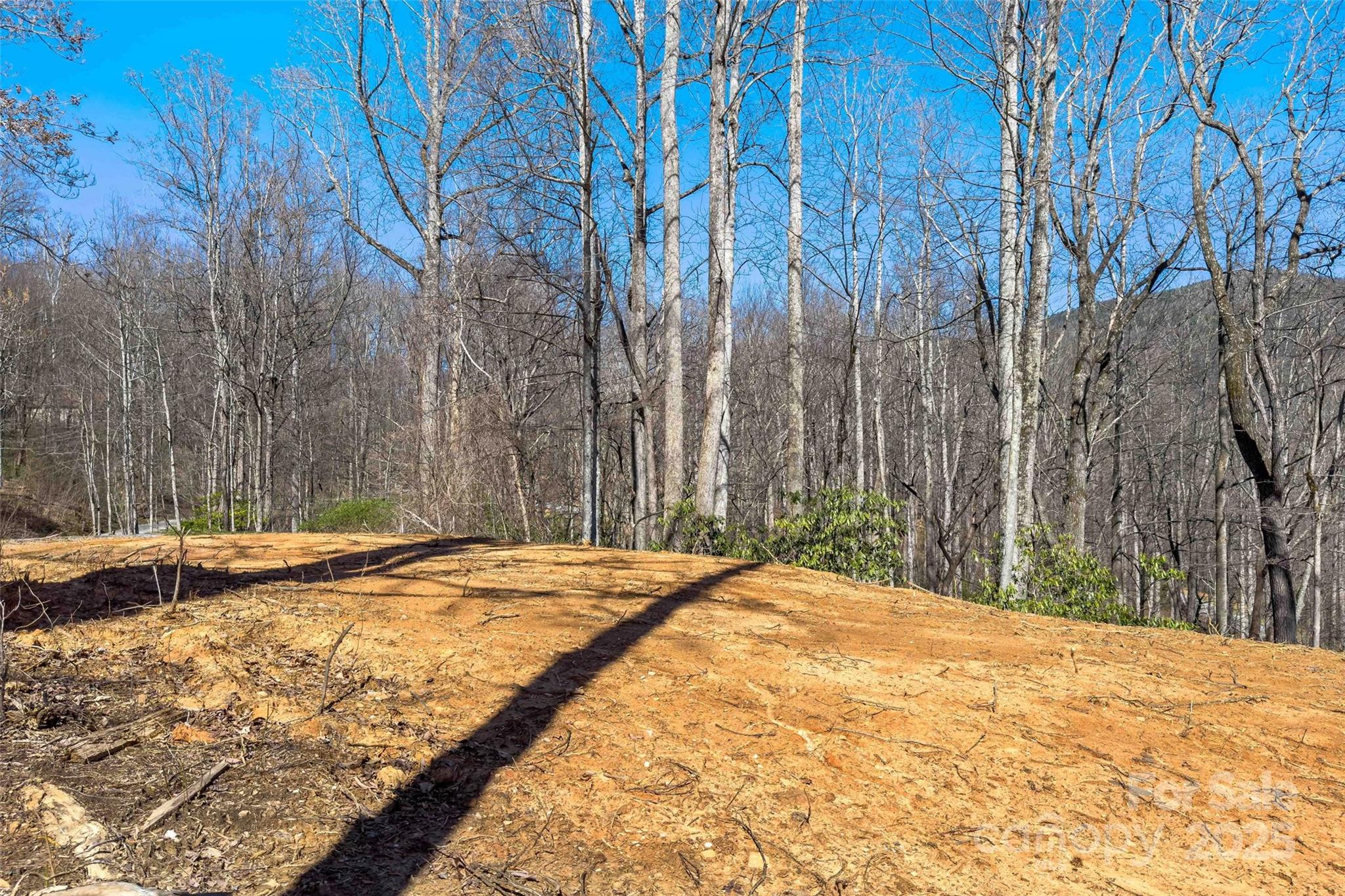 Linville Falls Mountain Club and Preserve - Land