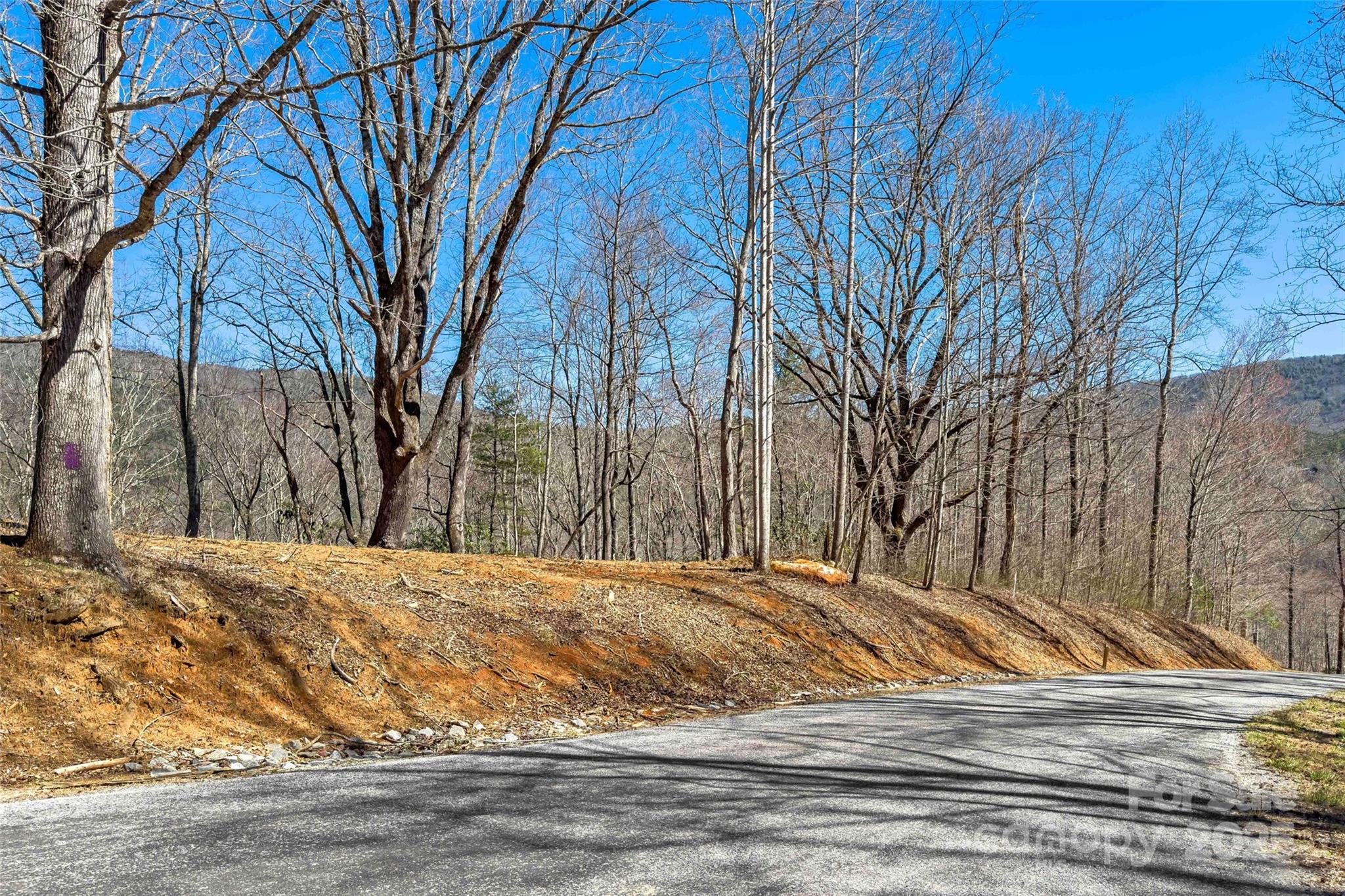 Linville Falls Mountain Club and Preserve - Land