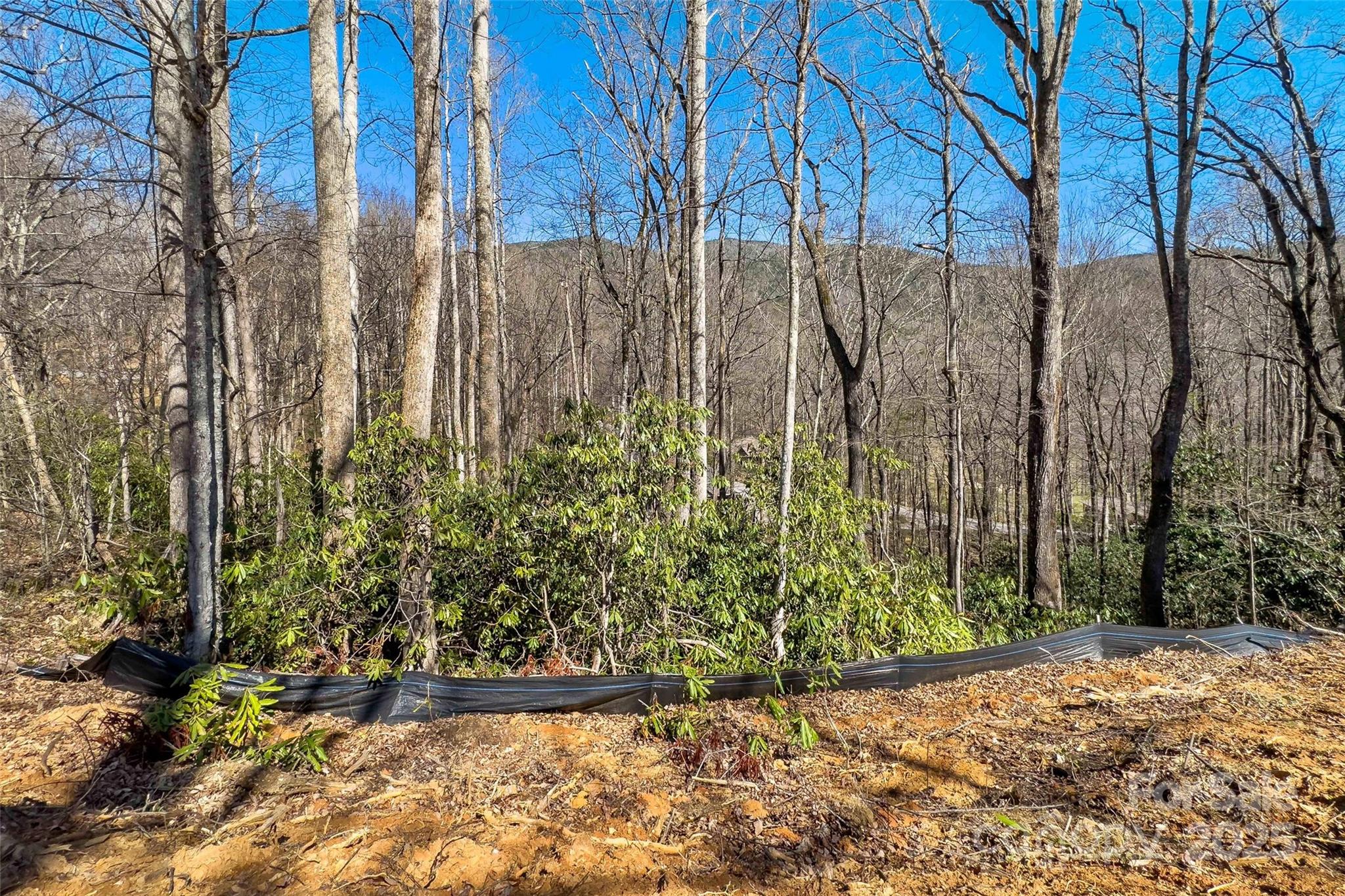 Linville Falls Mountain Club and Preserve - Land