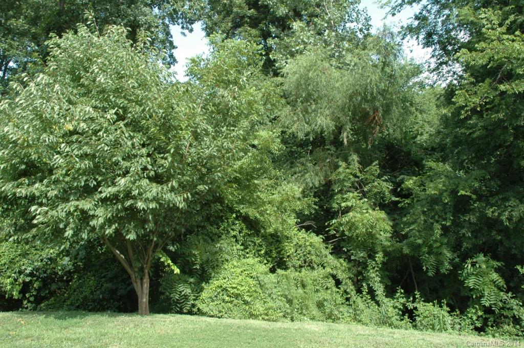 Tanners Creek - Residential Lease