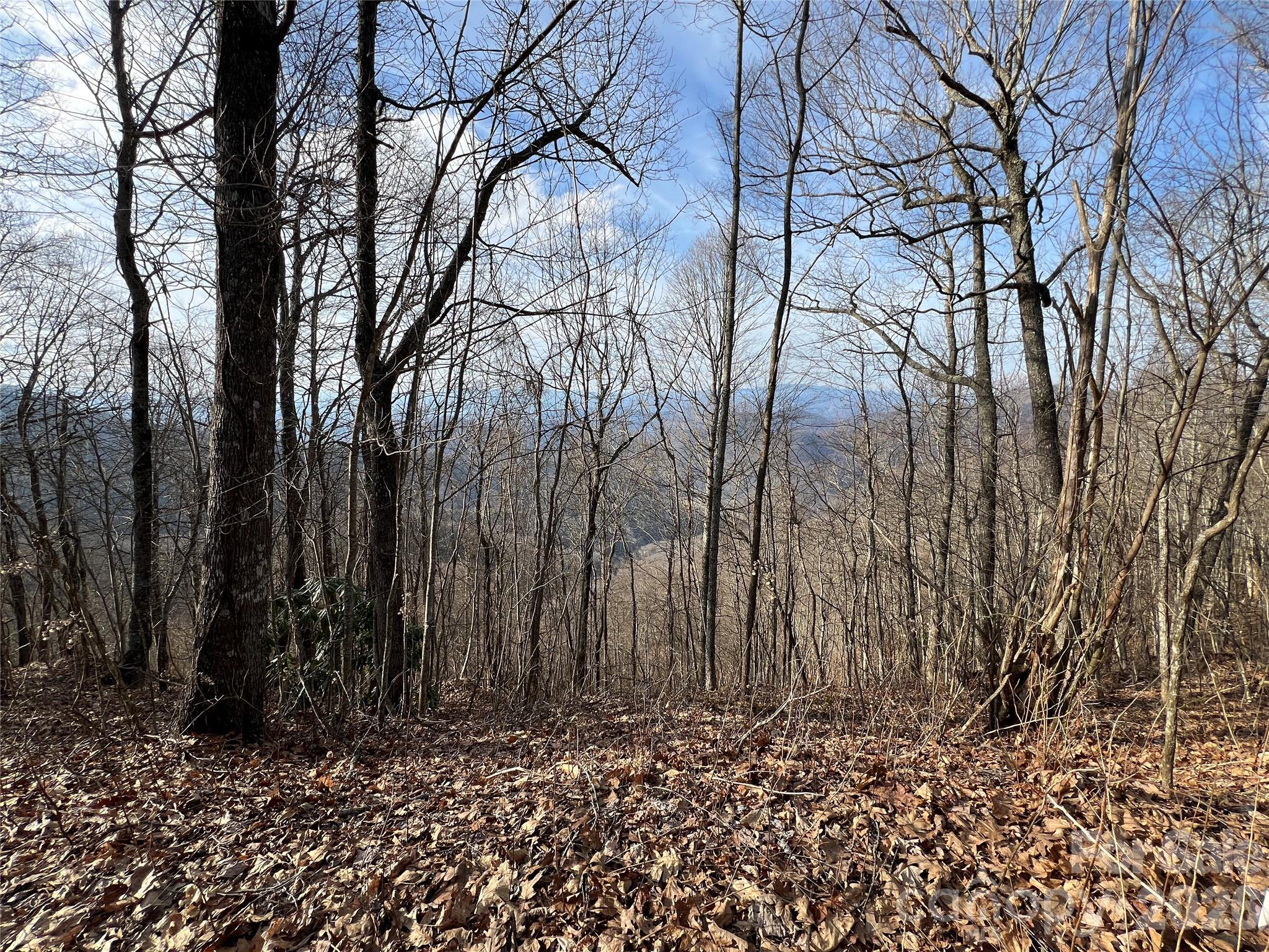 Cowee Mountain Properties - Land