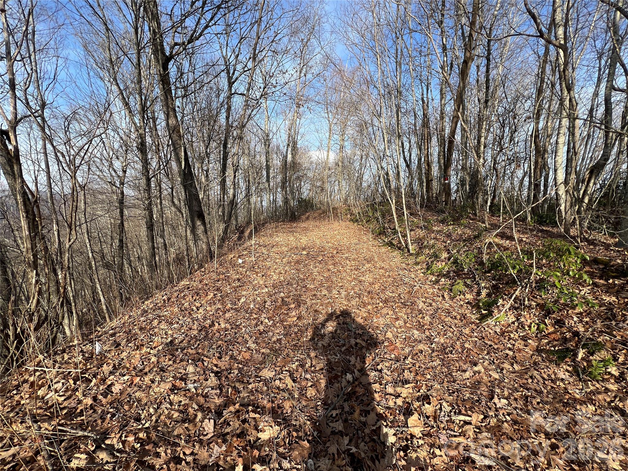 Cowee Mountain Properties - Land