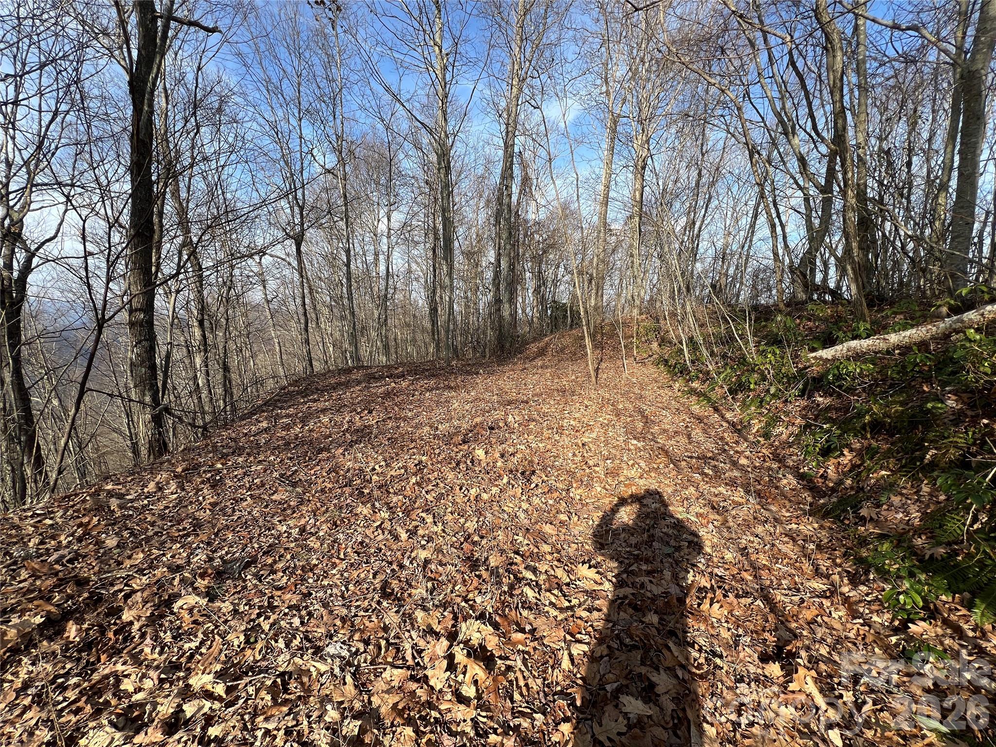 Cowee Mountain Properties - Land