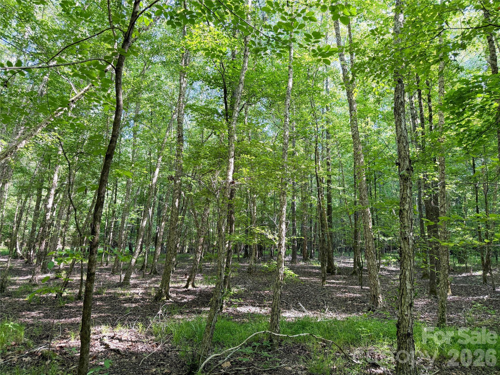 A rare estate-scale offering in the heart of Lake Wylie, this exceptional residential tract spans over 10 acres of pristine, wooded privacy. Tucked away from the road, the property offers a peaceful, secluded setting highlighted by a natural creek along the rear of the land and a former pond site that adds character and future design potential. Ideal for a luxury custom home or private estate, this property provides the space, serenity, and natural beauty that discerning buyers seek—while remaining conveniently located near Lake Wylie amenities, dining, and shopping. A truly special opportunity to create a timeless retreat in one of the area’s most desirable locations.

Located between 6236 & 6252 Oakridge Road, 1.9 miles North of Oakridge Middle School