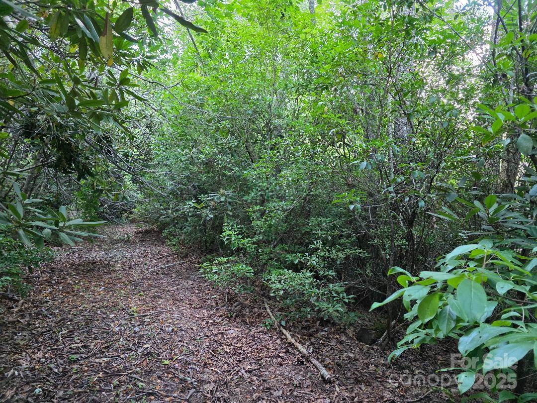 Beautiful Private land combined tracts totaling 1.23 acs. Would have good views with clearing. Nice elevation with natural landscape. Road to land already roughed in. Short drive to Blue Ridge Parkway, Forest Service and hiking trails. South Toe River just a short drive away.  Just off the path of the scenic byway to Mt Mitchell State Park.