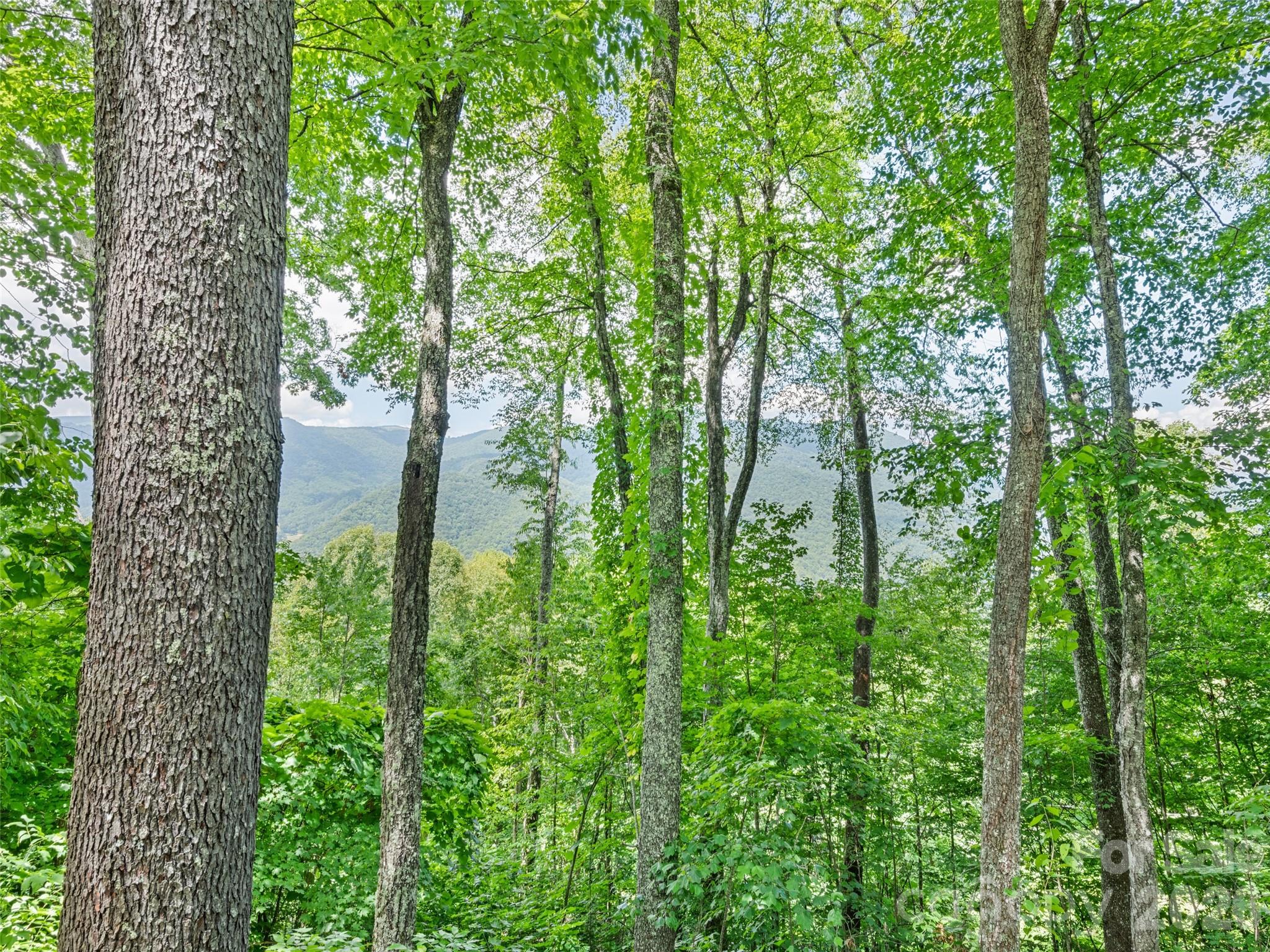 Woodlands - Residential