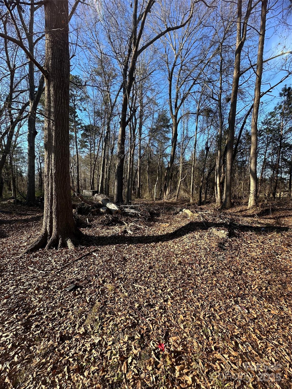 Woodmere - Residential