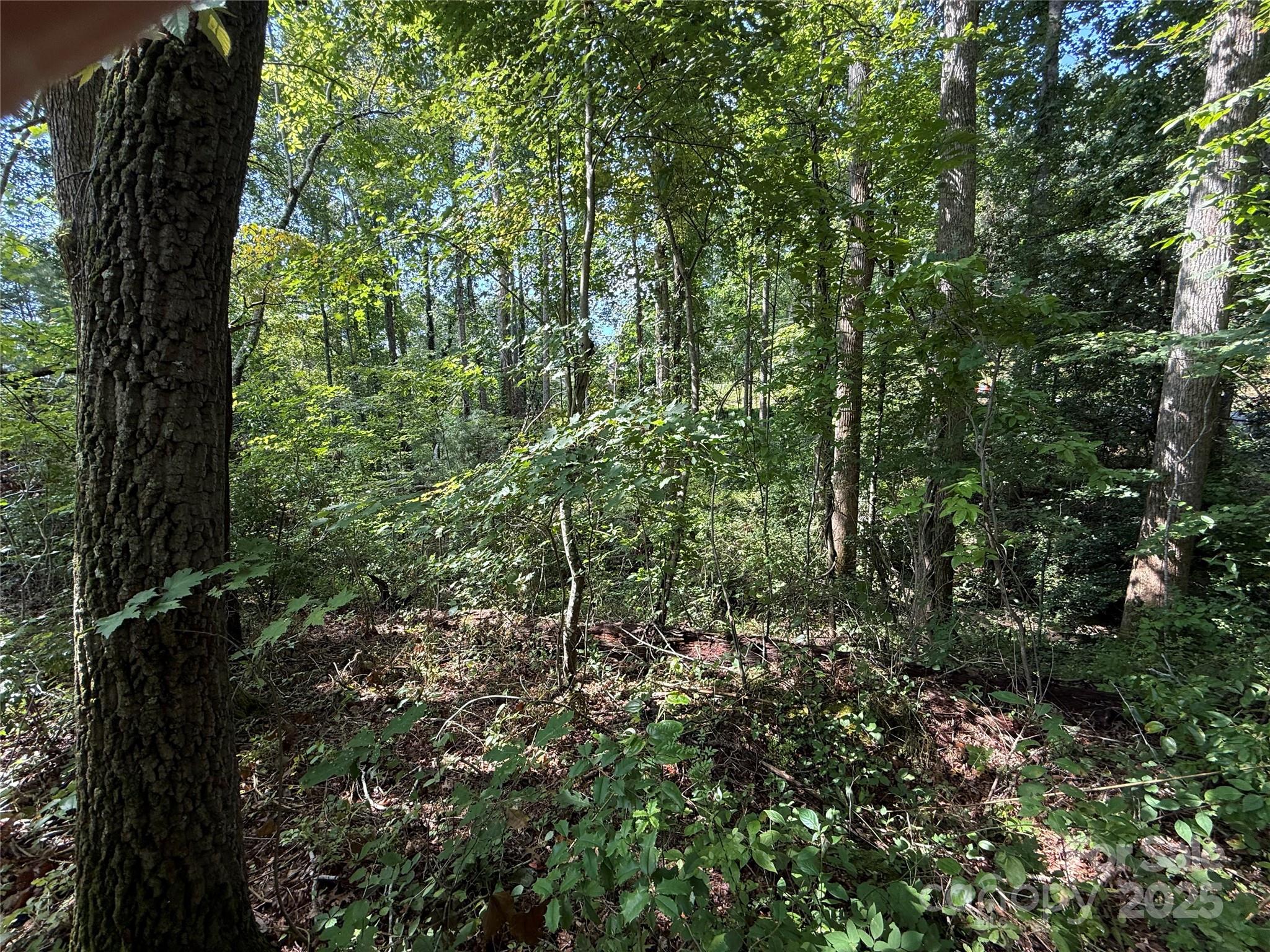 Beechwood Lakes - Land