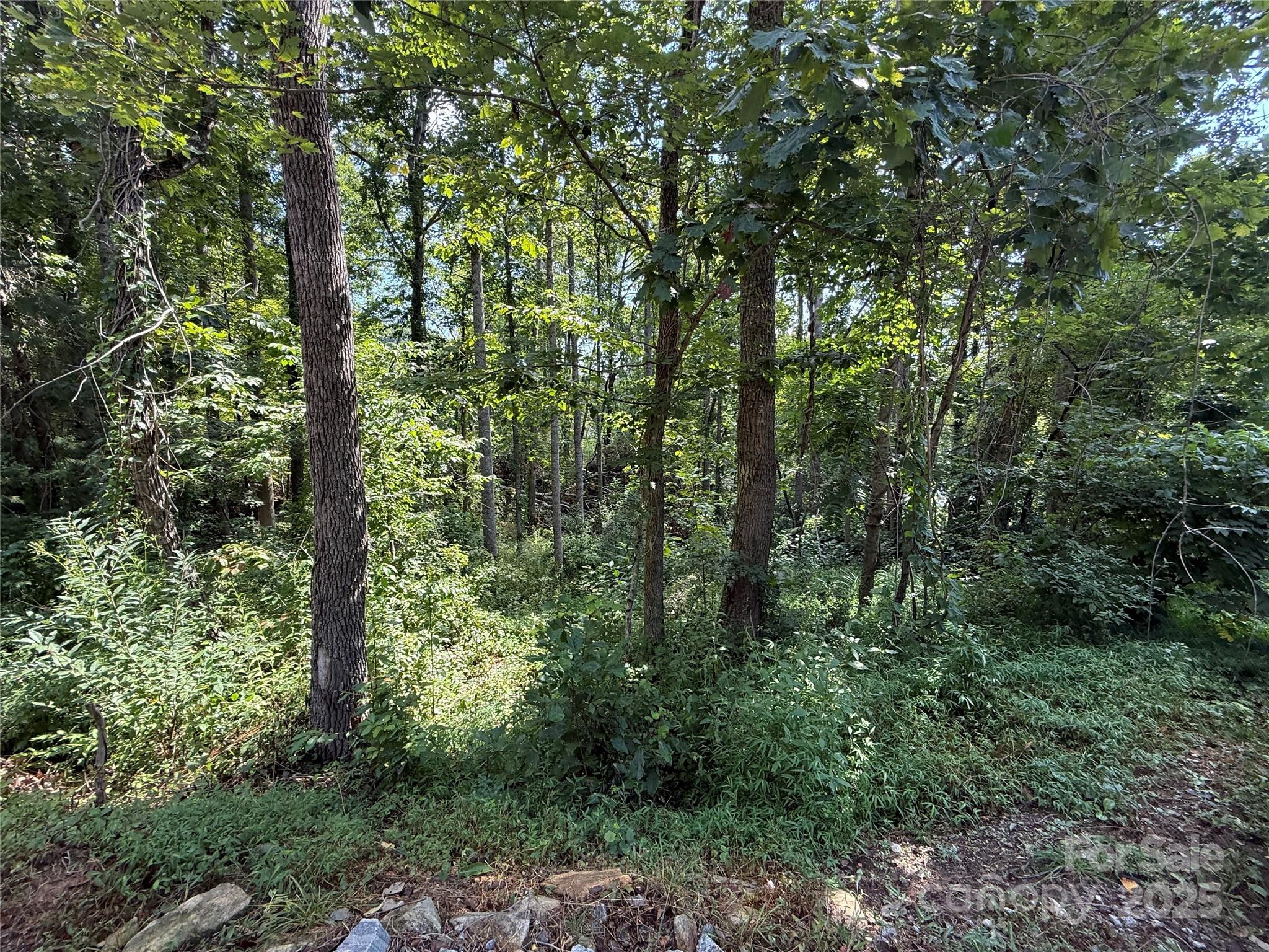 Beechwood Lakes - Land