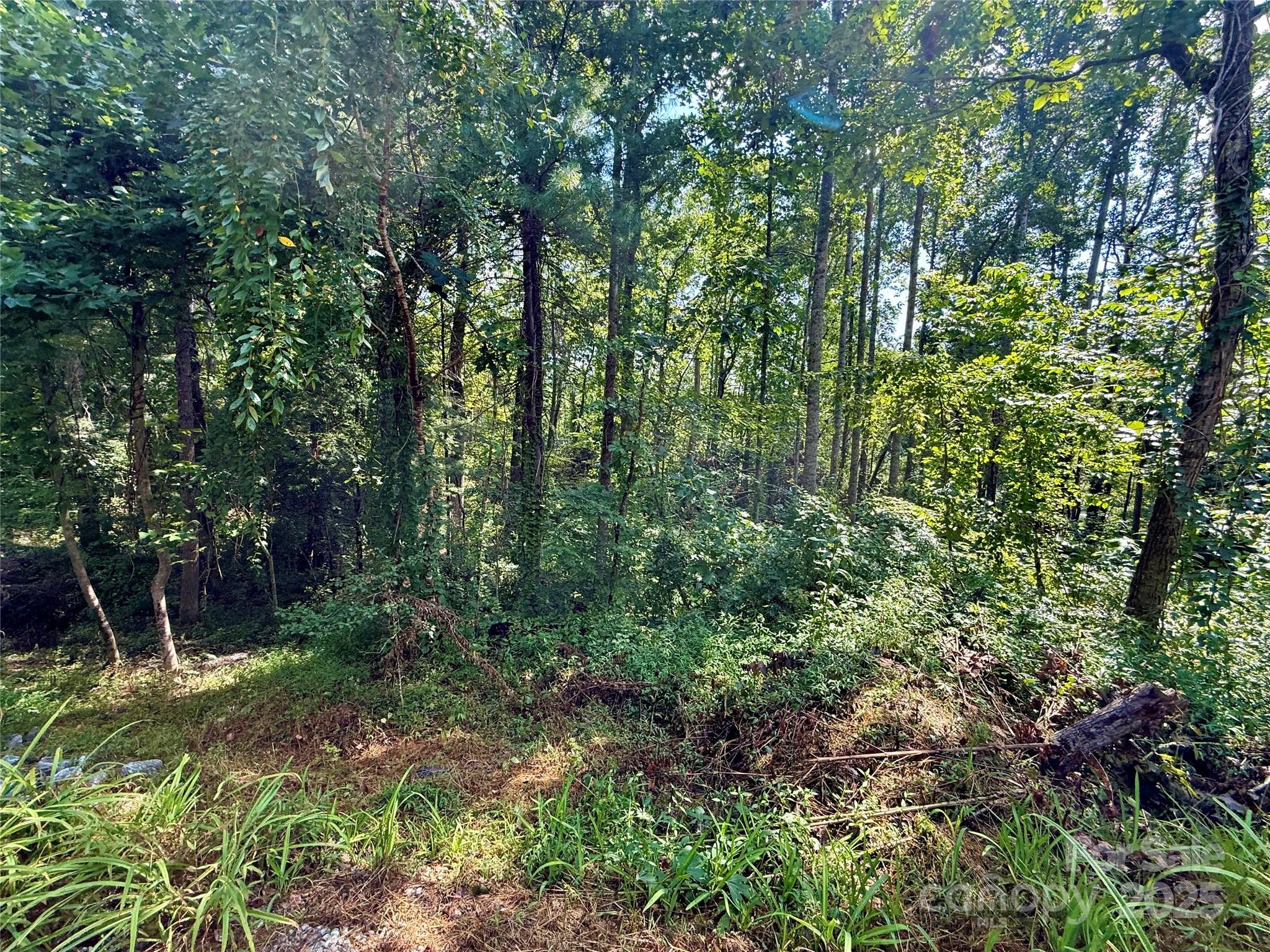 Beechwood Lakes - Land