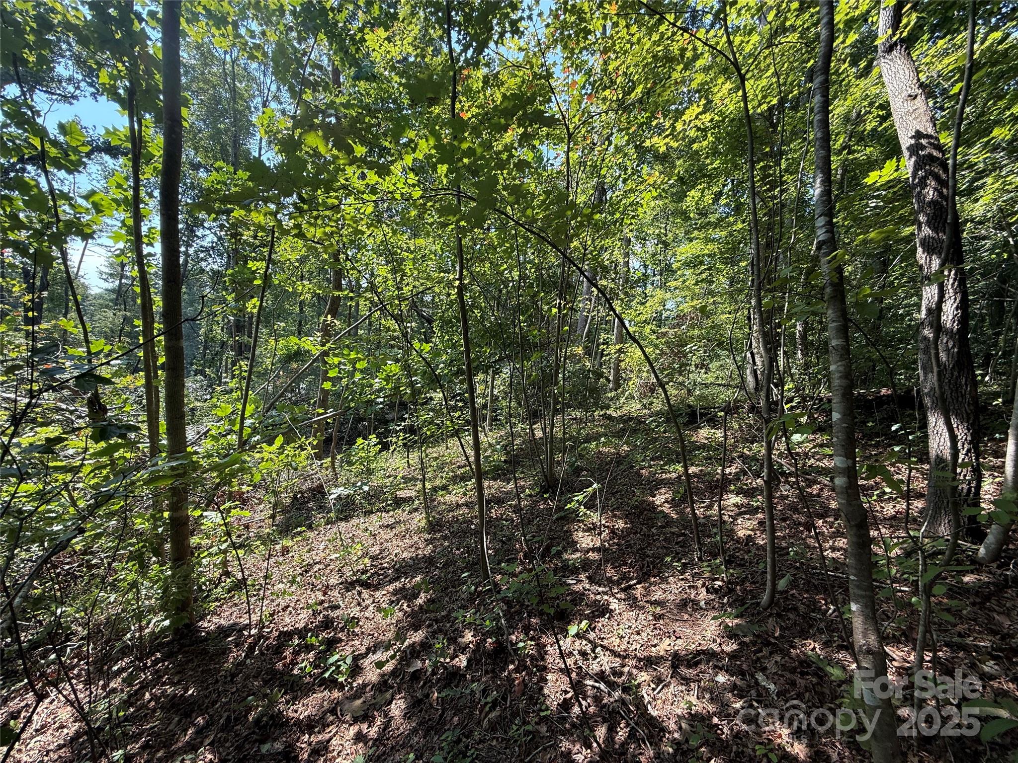 Beechwood Lakes - Land