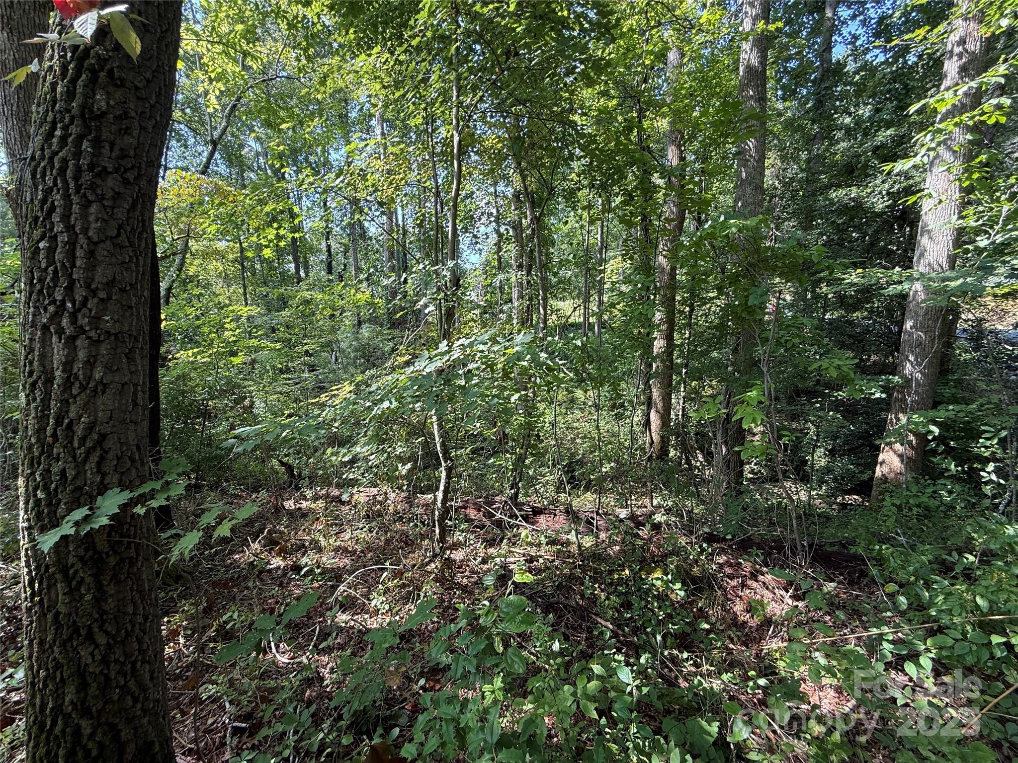 Beechwood Lakes - Land