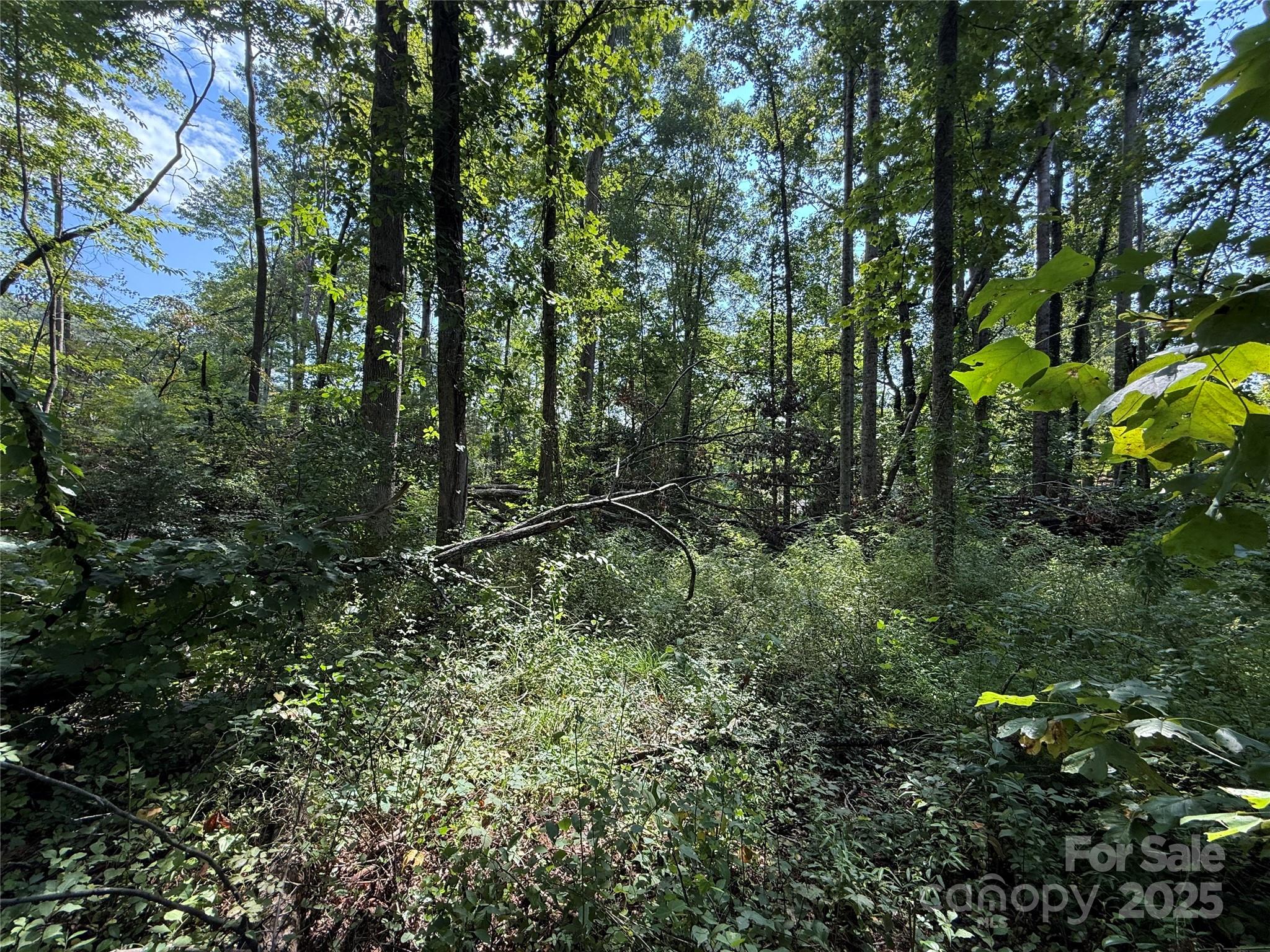 Beechwood Lakes - Land