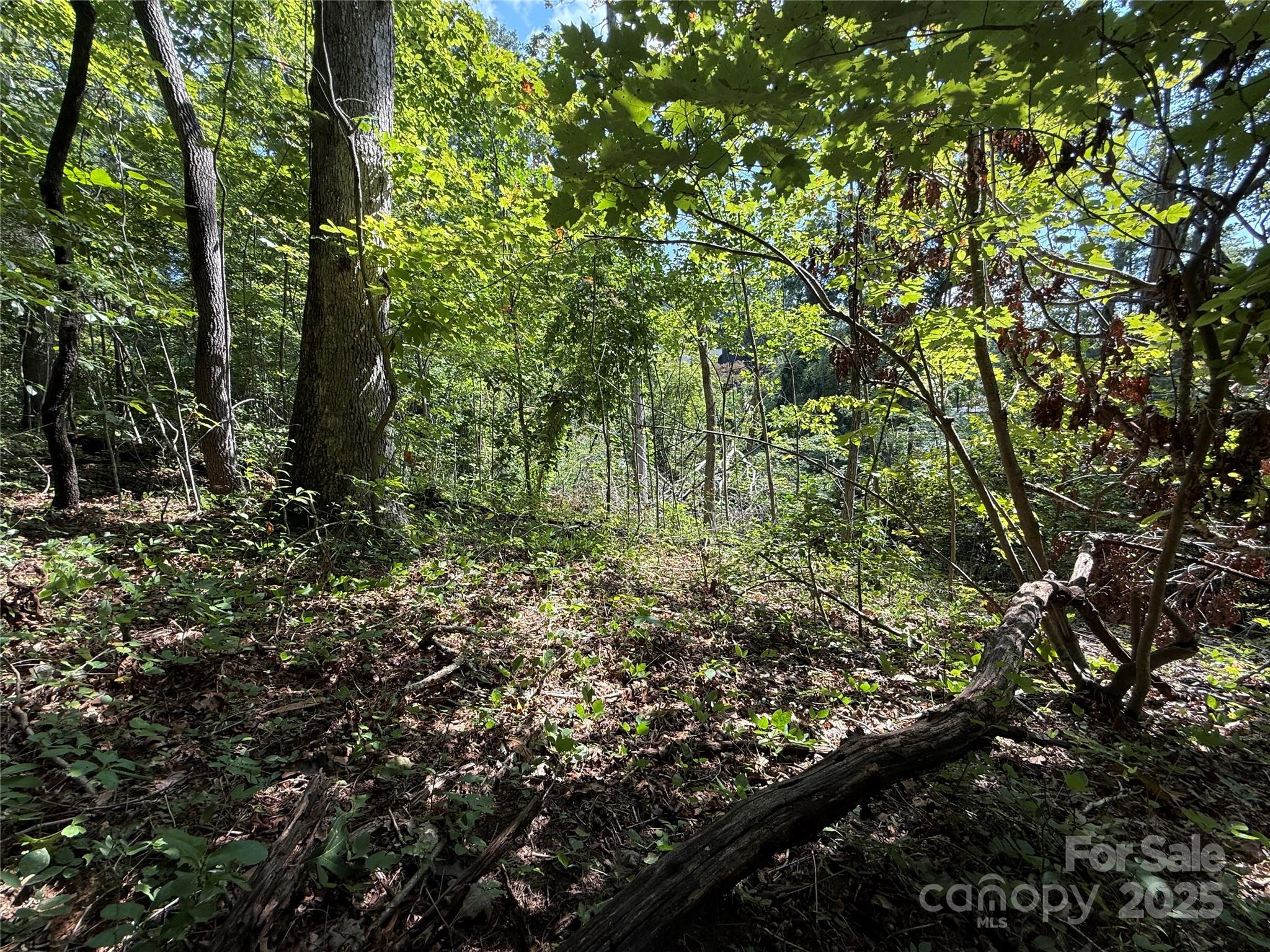 Beechwood Lakes - Land