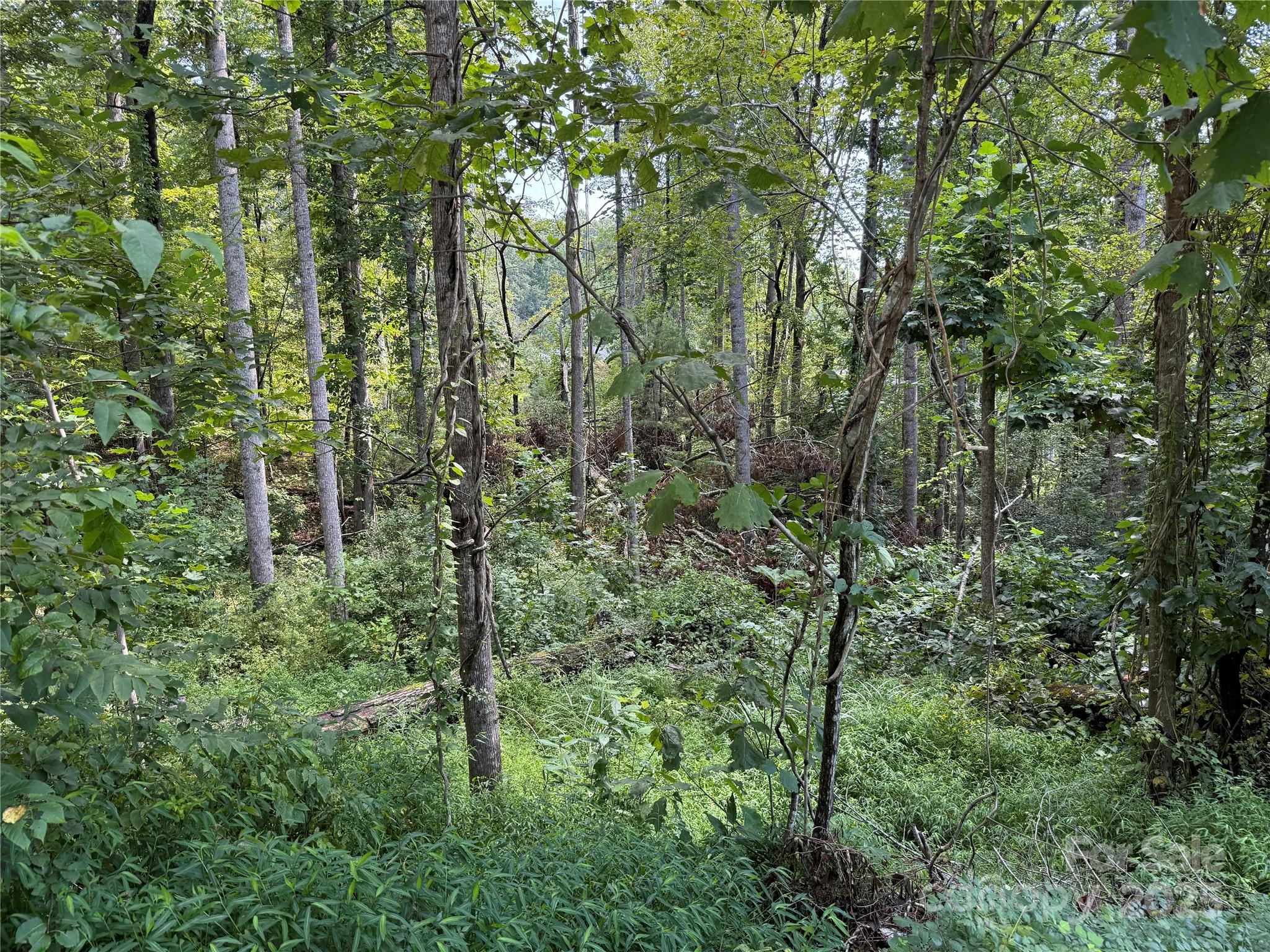 Beechwood Lakes - Land