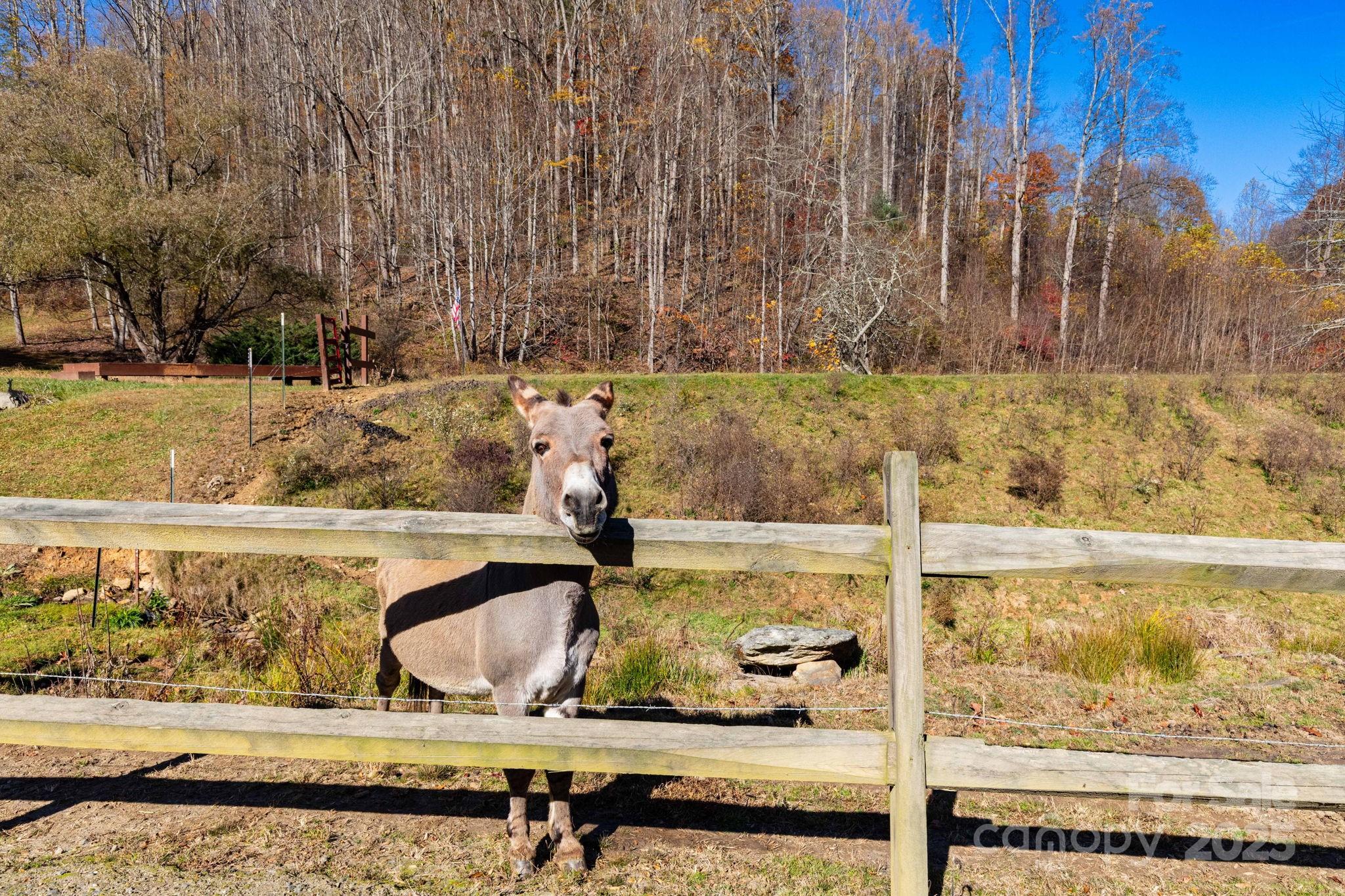 Cataloochee Ranch Estates - Land