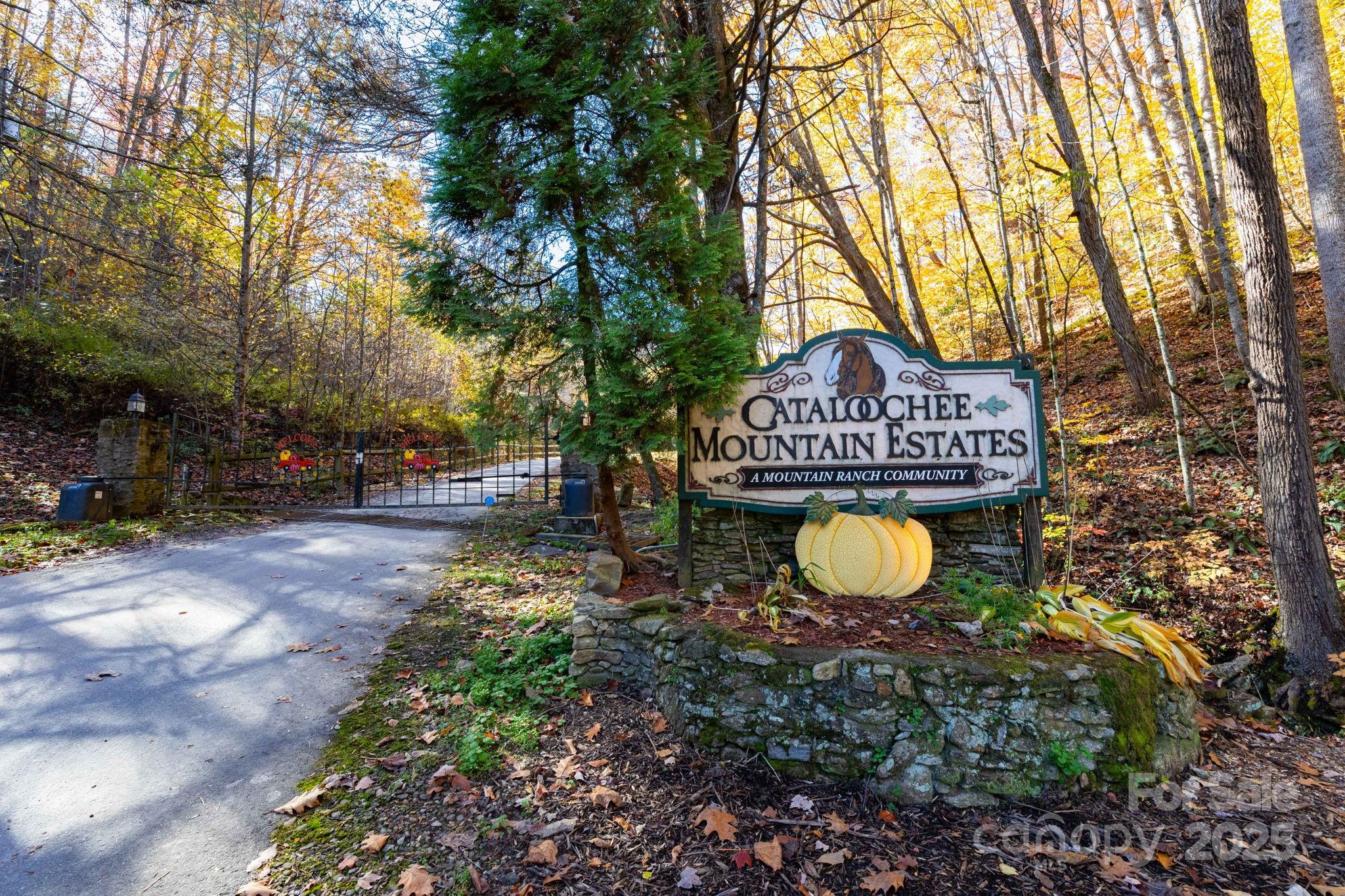 Cataloochee Ranch Estates - Land