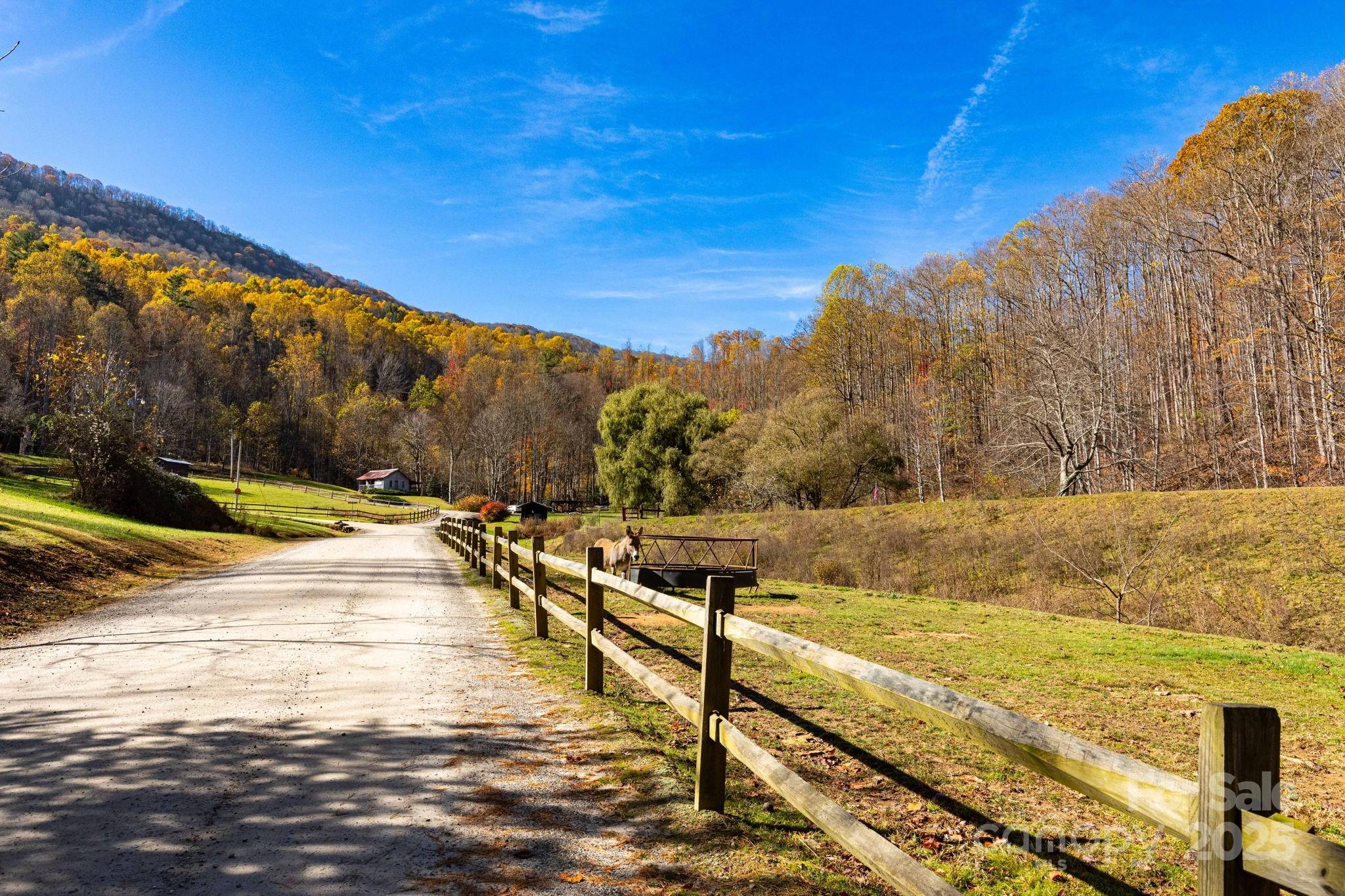 Cataloochee Ranch Estates - Land