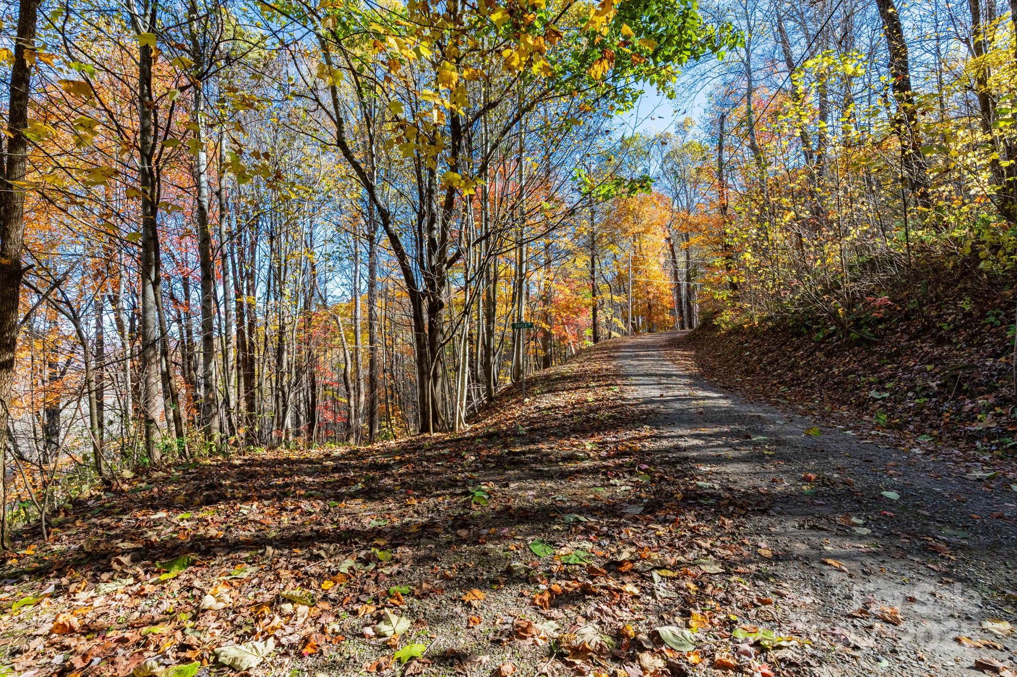 Cataloochee Ranch Estates - Land