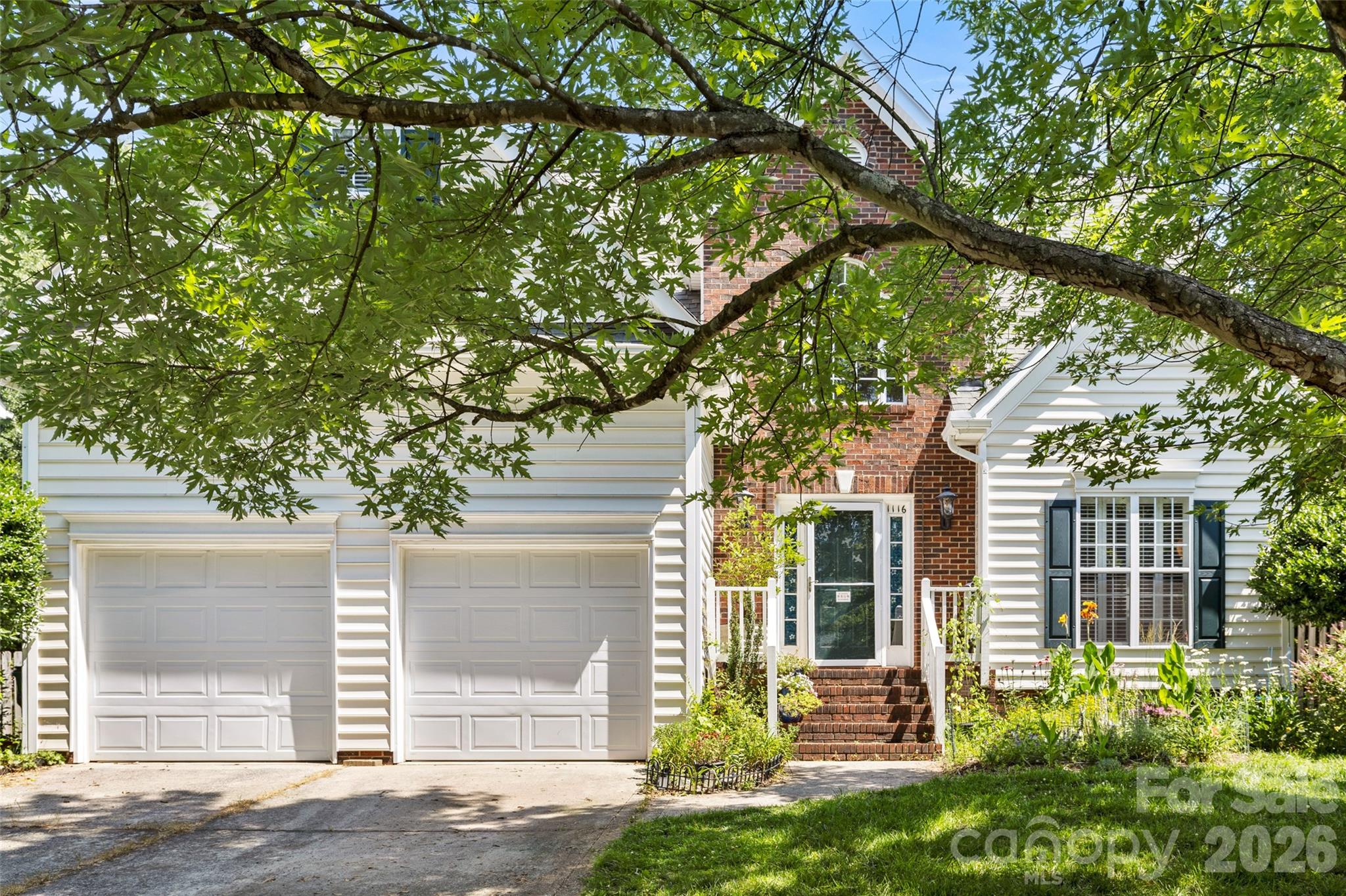 Blueberry - Residential