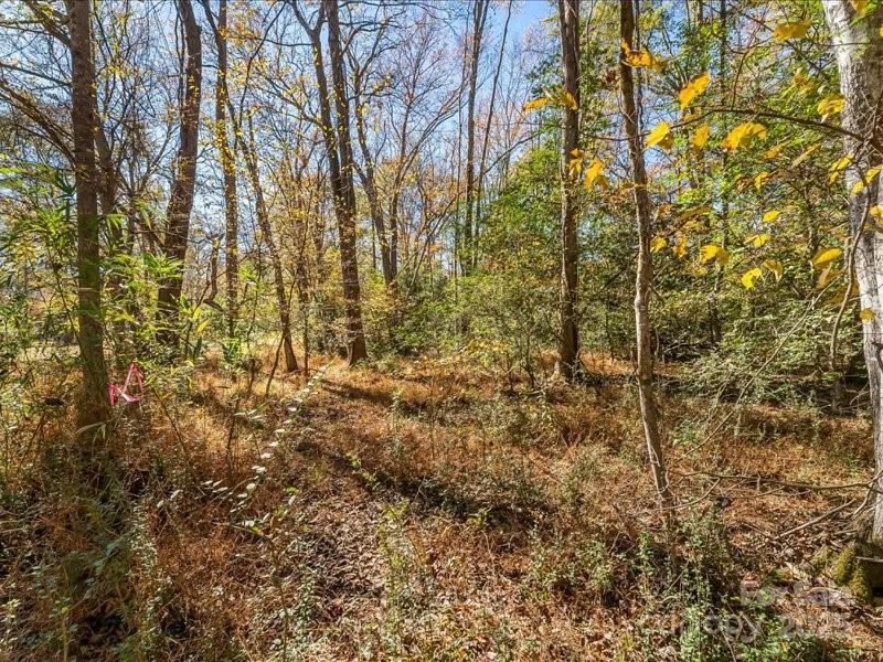 Winding Creek - Land