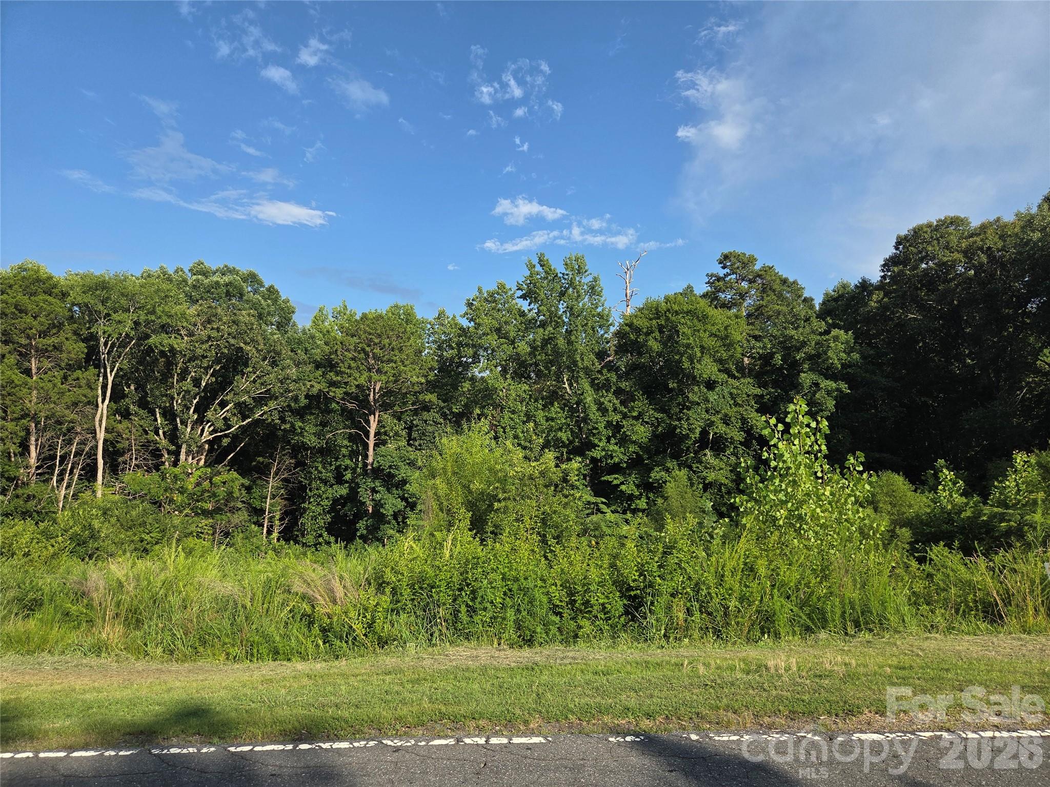 Discover the possibilities with this beautiful 1-acre residential lot located at 92 McArthur Ave SE, Concord, NC. Whether you're dreaming of building a private estate or exploring the potential to develop one or two custom single-family homes (subject to City of Concord approval), this versatile property offers a rare opportunity in an established and rapidly growing area.
Nestled on a quiet street with attractive surrounding homes, the property provides ample space for privacy while remaining just minutes from vibrant Downtown Concord, shopping, dining, parks, schools, Atrium Health Cabarrus, and convenient access to I-85 and Highway 29.
With generous road frontage, mature trees, and utilities nearby, this parcel is ideal for homeowners, builders, and investors alike. Opportunities for sizeable residential lots this close to downtown are becoming increasingly scarce.
Bring your vision and create something truly special. Buyers are encouraged to verify zoning, subdivision, utility availability, and all development possibilities with the City of Concord.