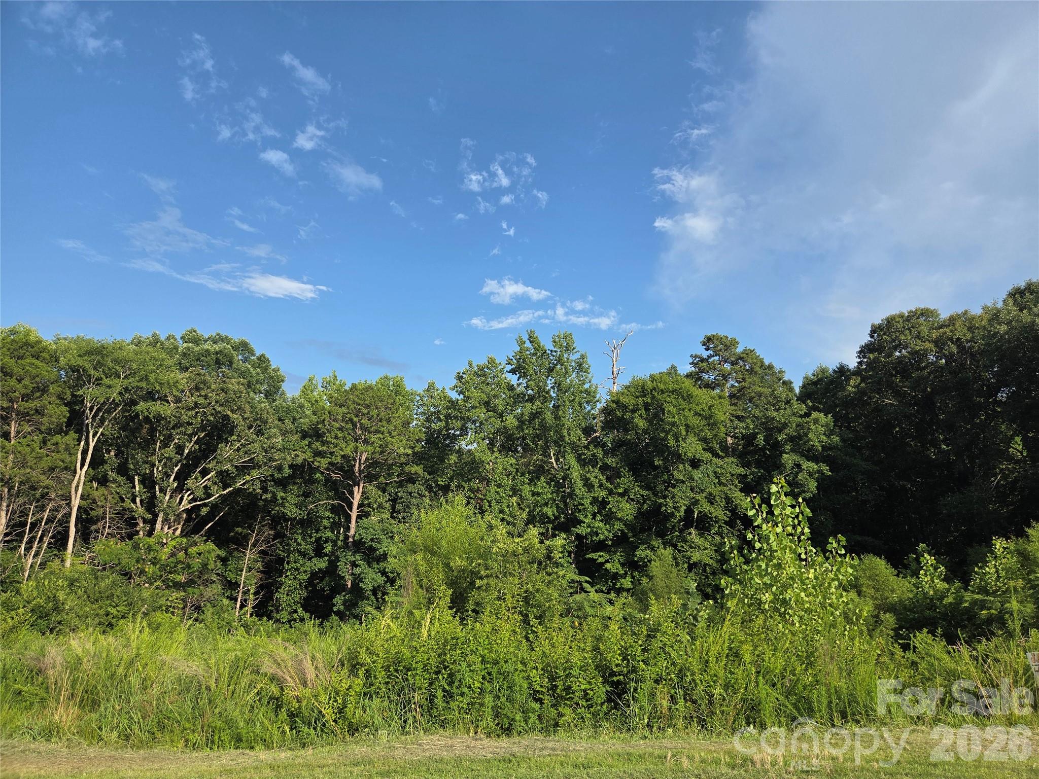 Town Creek - Land
