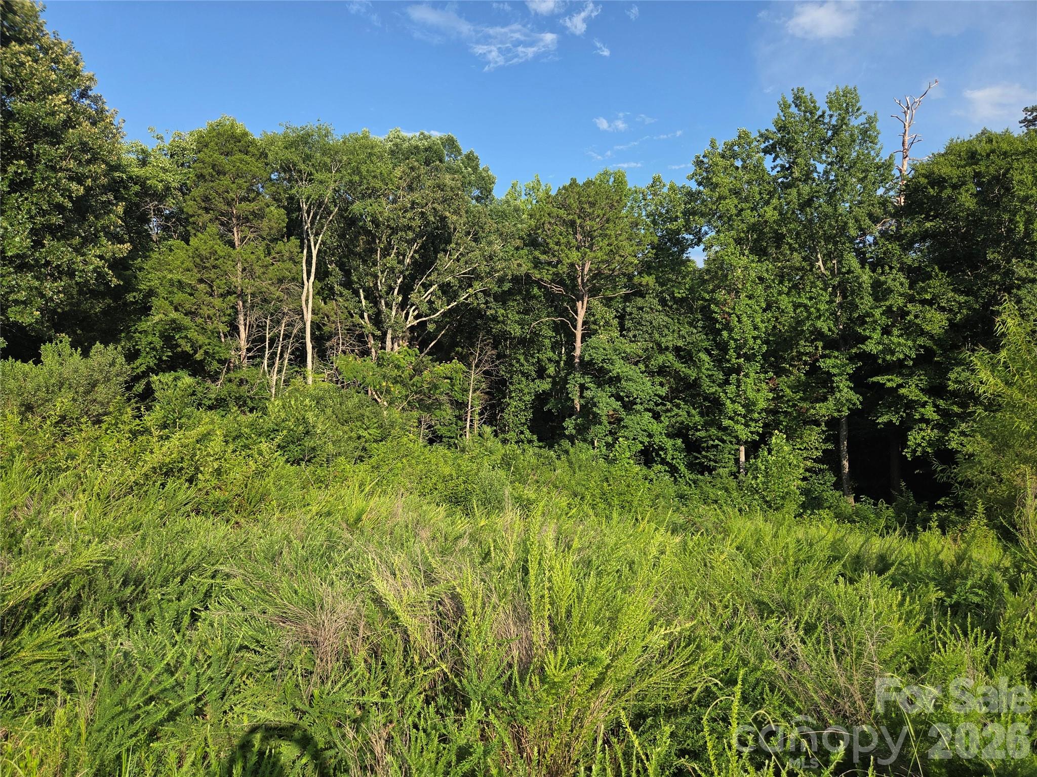 Town Creek - Land
