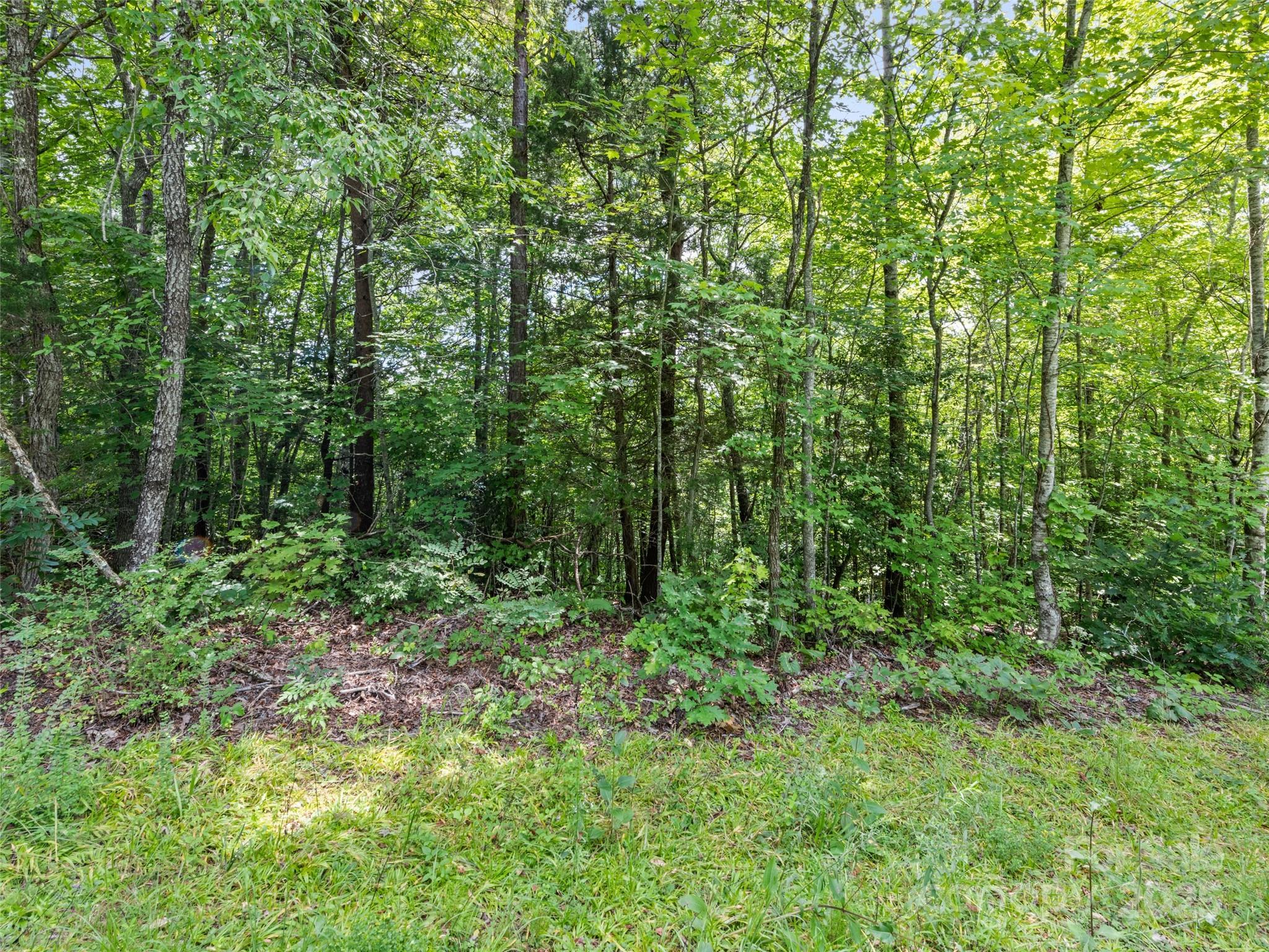 Hazel Hollow - Land