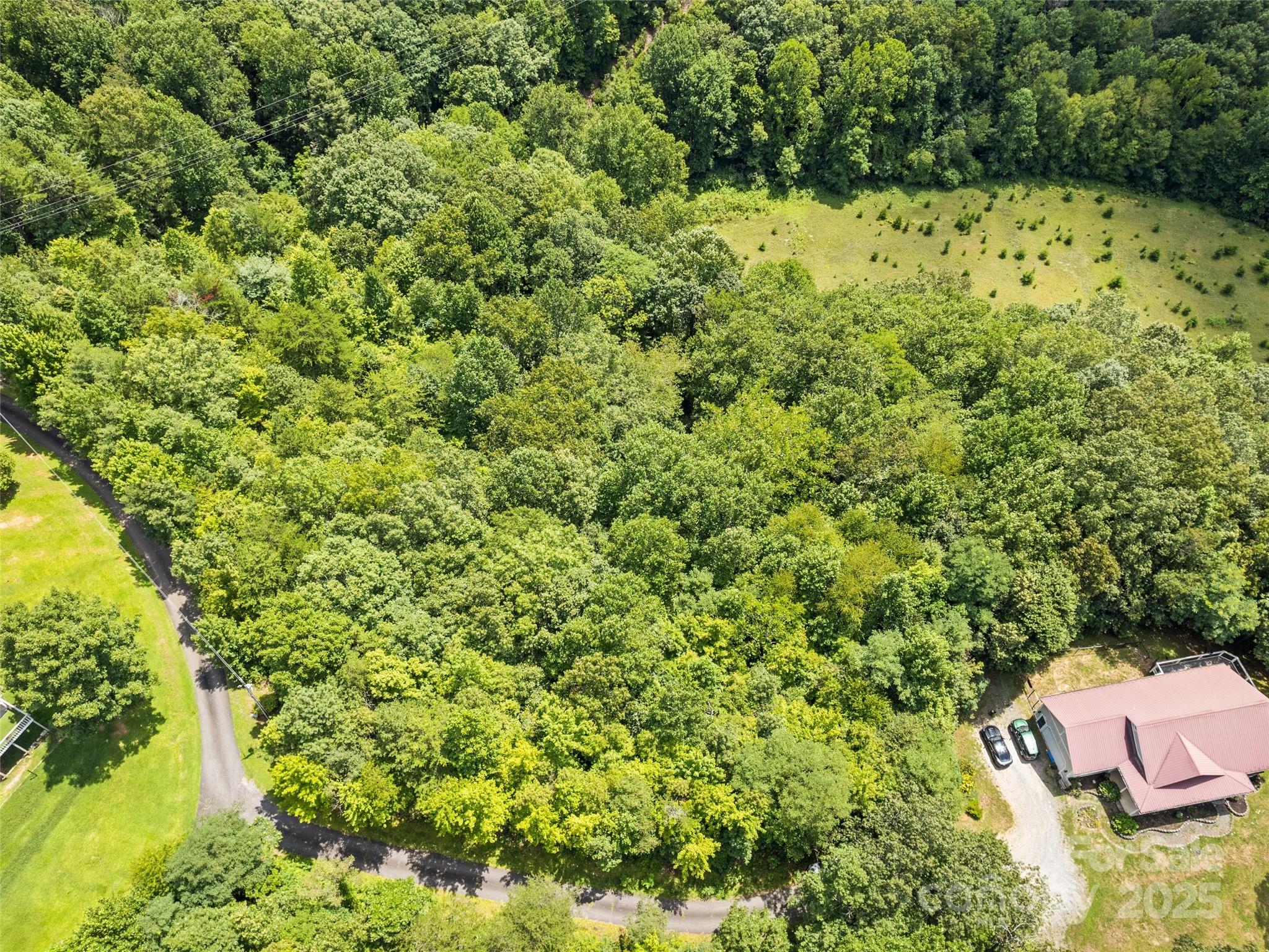 Hazel Hollow - Land