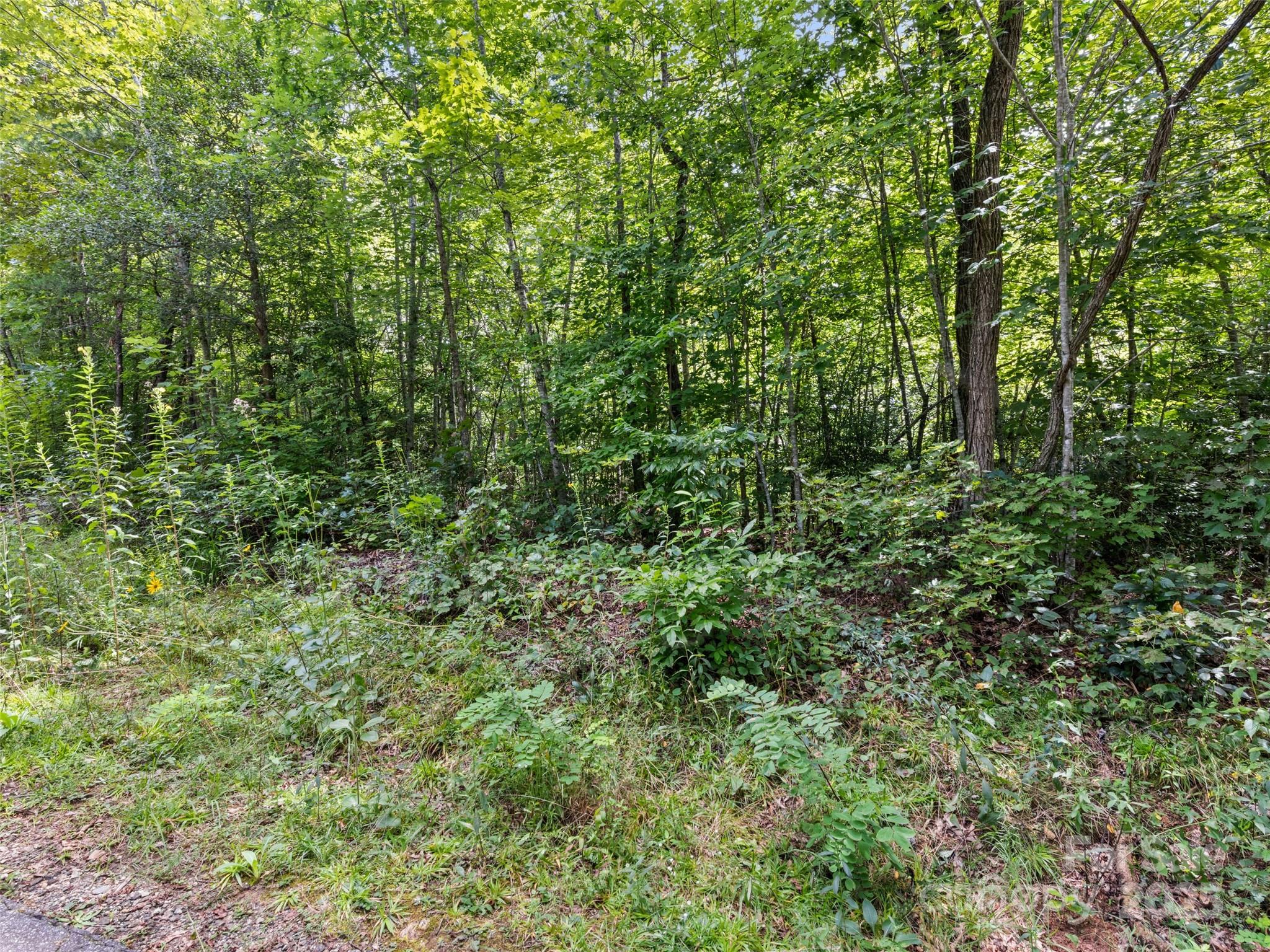Hazel Hollow - Land