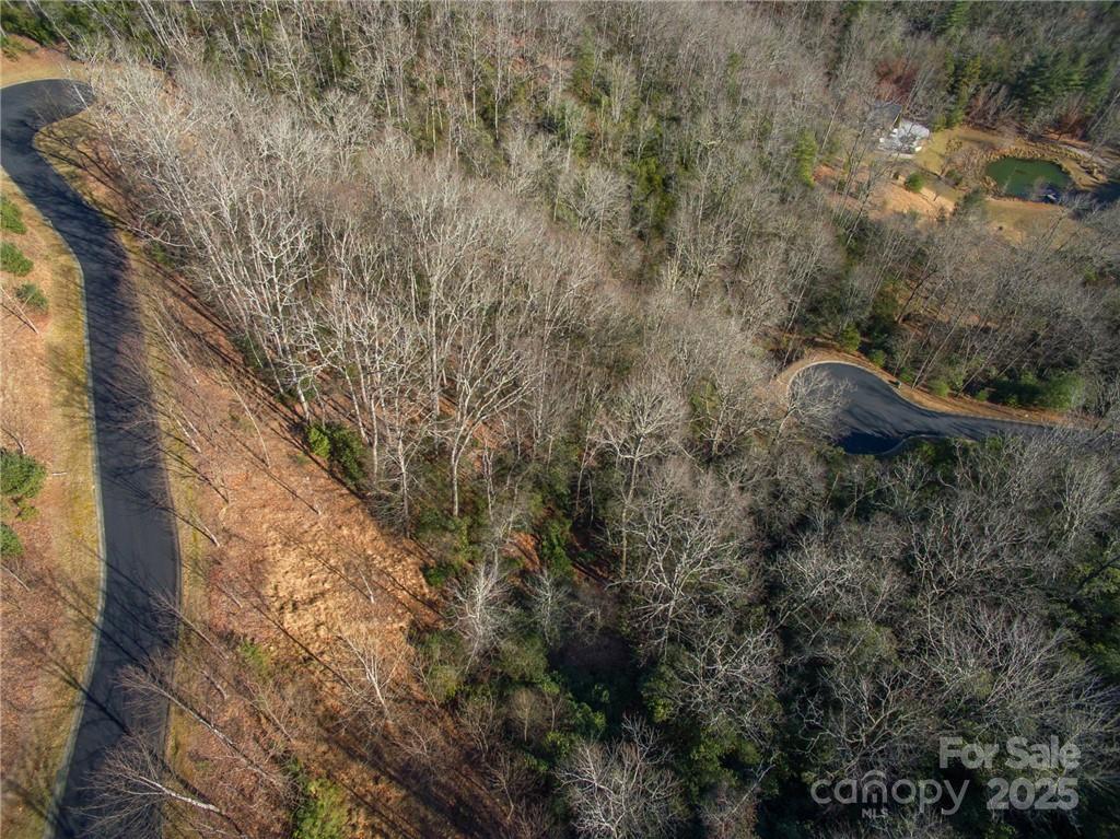 Homestead at Mills River - Land