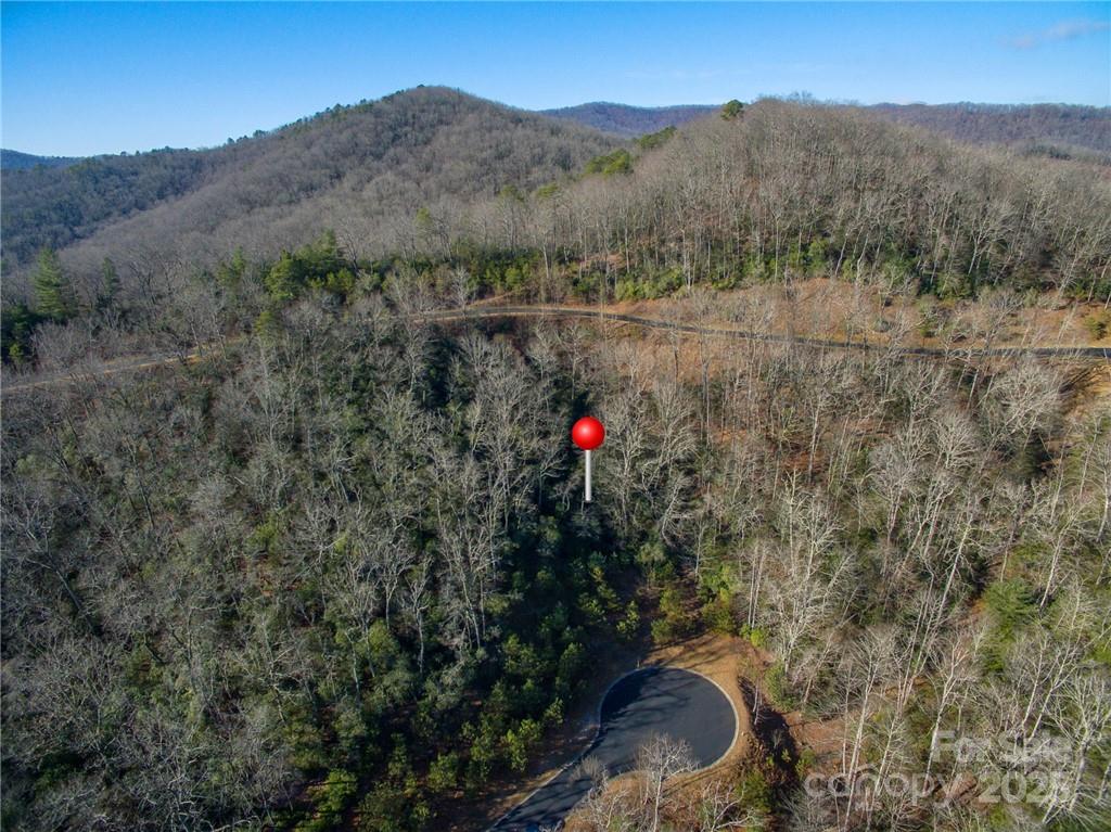 Beautiful gated subdivision. Cul-de-sac lot in a very quiet and peaceful area. Rhododendron and Mountain Laurel galore. Paved roads with beautiful wooded areas along the way. Storm sewers already in place.  Underground utilities and natural gas are available. Club house is remote on 10+ acres along Mills River.  Great for events, camping, barbecuing and fishing. Convenience is awesome being just approximately 5 minutes from Ingles Supermarket and a new Publix under construction, 10 minutes to Sierra Nevada Brewery, 15 minutes to the airport , 25 minutes to Hendersonville and Brevard and about 35 minutes to Downtown Asheville. Build your dream home in this mountain paradise. The Mills River area offers some of the finest trout streams, camping, hiking and mountain biking in the WNC area.