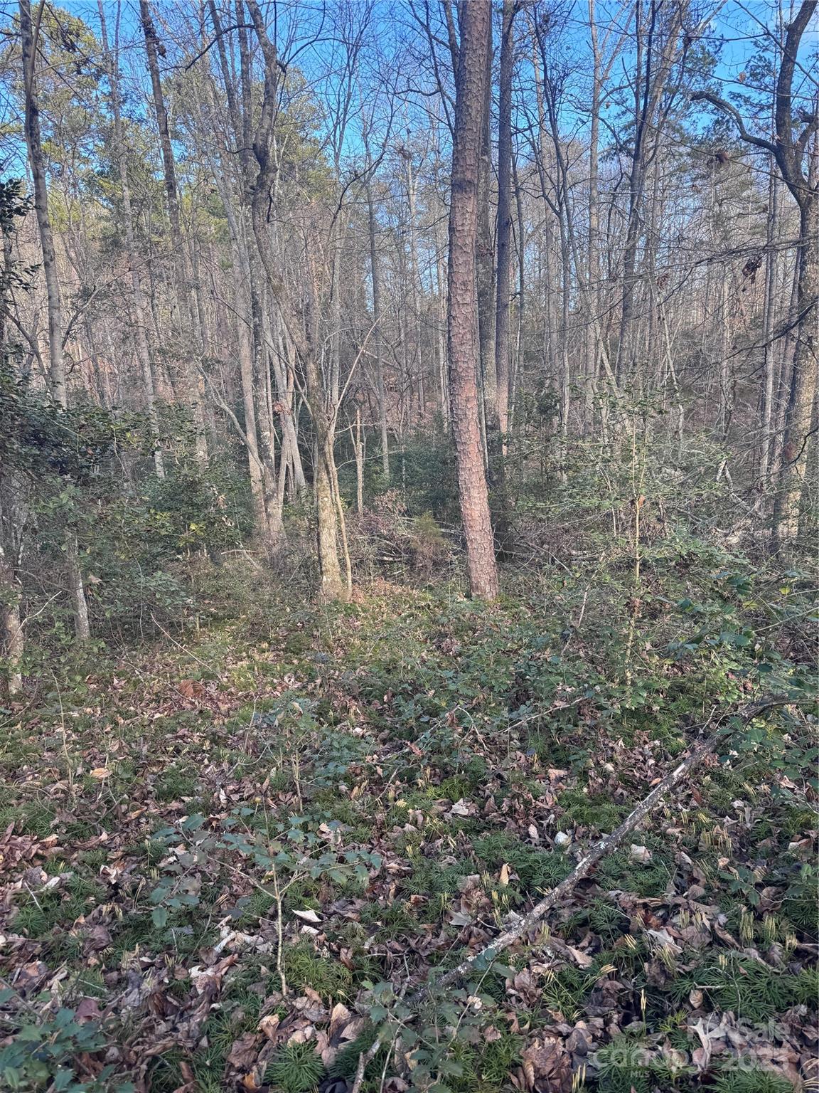 Hearthstone Ridge - Land