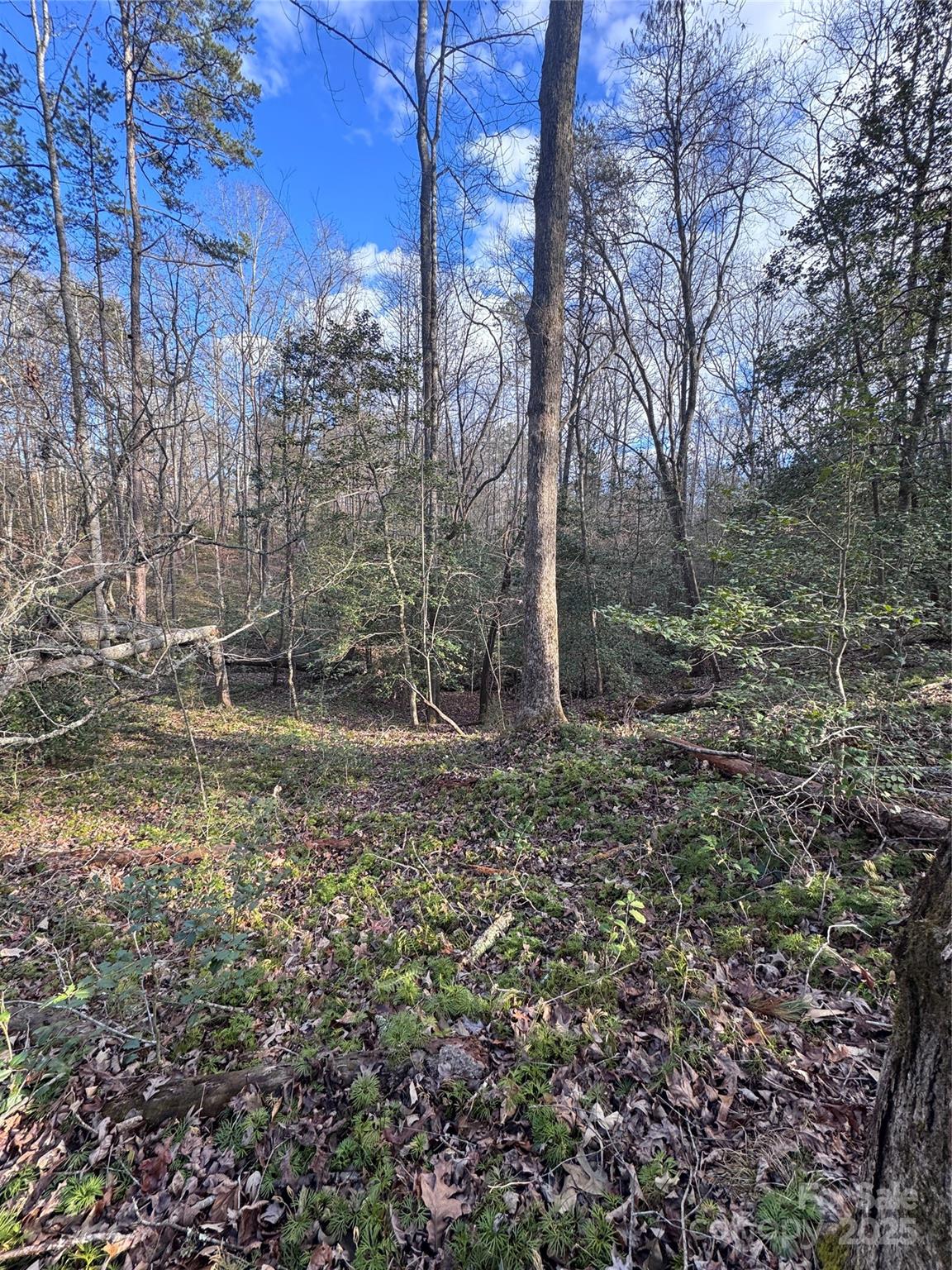 Nestled in the Hearthstone Ridge community, this 2.18-acre parcel offers an exceptional opportunity to build your dream home or getaway retreat. Featuring gently rolling terrain, hardwoods, minimal underbrush, and breathtaking creek frontage, creating a serene and private environment. Whether you are looking for a quiet escape or a scenic spot to settle down, this lot offers the ideal balance of privacy and natural beauty, with the convenience of Rutherfordton being minutes away.