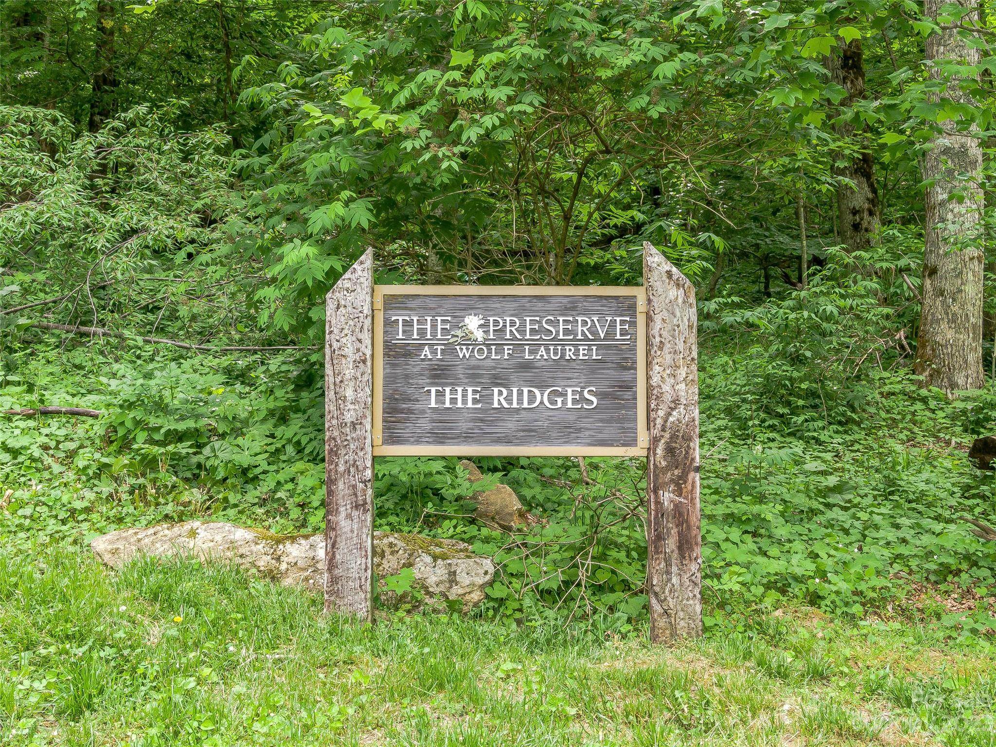 The Preserve at Wolf Laurel - Land