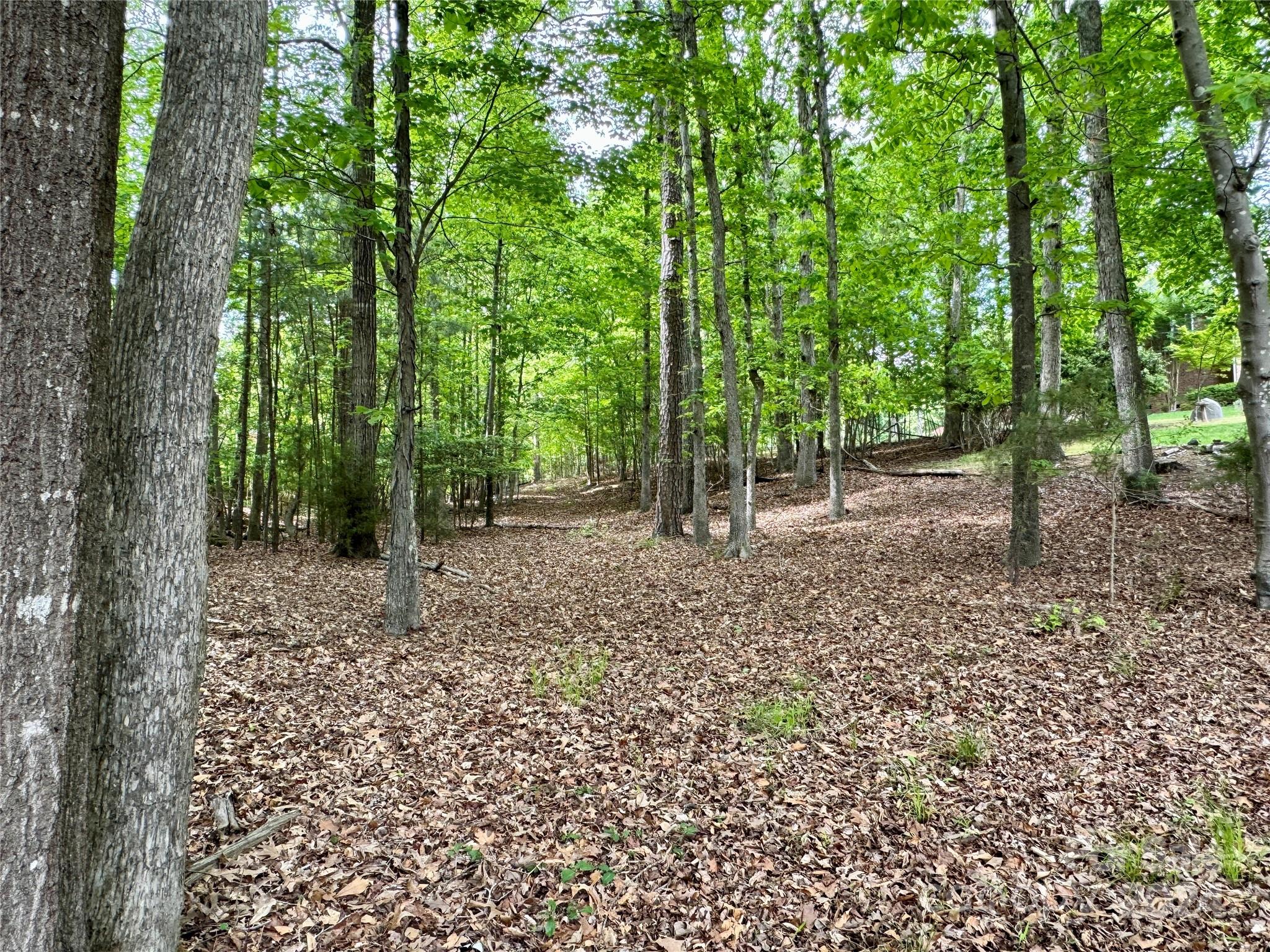 Catawba Crest - Land