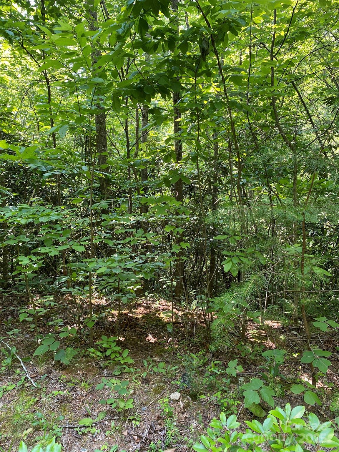 Riverbend at Lake Lure - Land