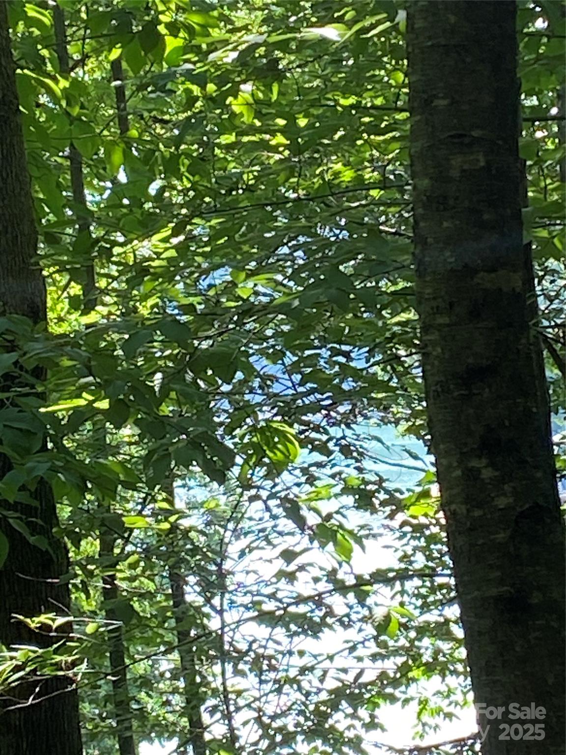Riverbend at Lake Lure - Land