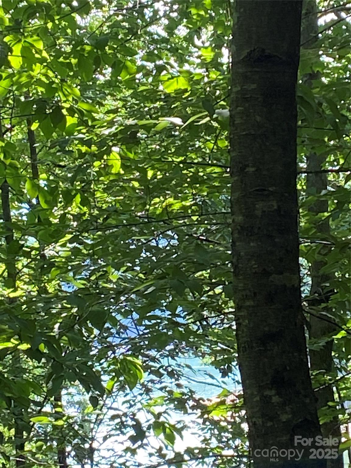 Riverbend at Lake Lure - Land
