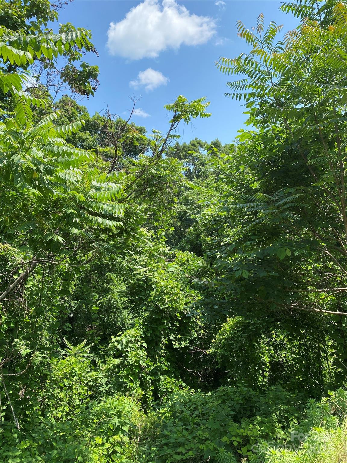Riverbend at Lake Lure - Land
