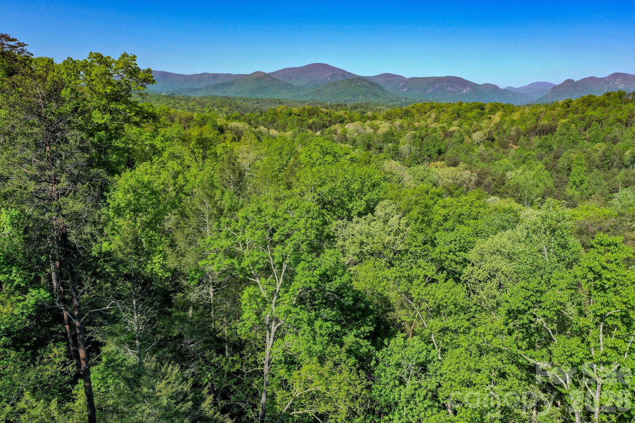 VISTA @ BILLS MOUNTAIN.....Great opportunity to get in at a bargain price. Lot 331 has potential for spectacular views with some tree work......photos show what the view would be with no trees blocking. A deal at only $7,000.
