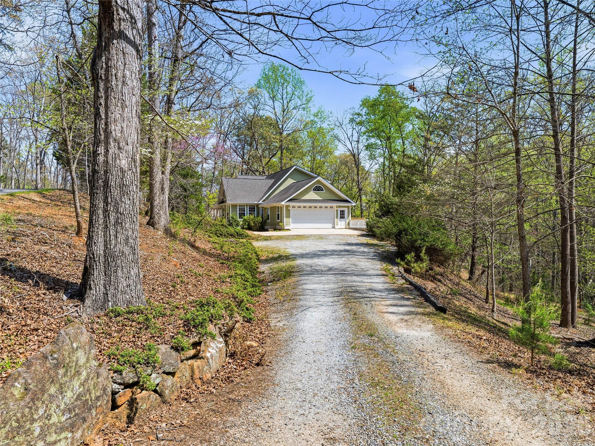 Red Fox - Residential
