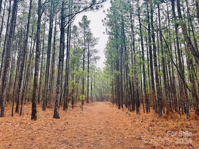 If you're ready to make a move to the beautiful area of Lancaster County, then look no further! Welcome to Wood Haven Rd! Almost 43 acres of gorgeous land-perfect place to build your dream home and with the amount of road frontage-bring your friends and family with you. Enjoy NO HOA, and the opportunity to start your own farm.  Abundant wildlife-deer, turkey, etc.  Currently wooded and a private location. Located in the "country"-on the outskirts of the Town of Kershaw.